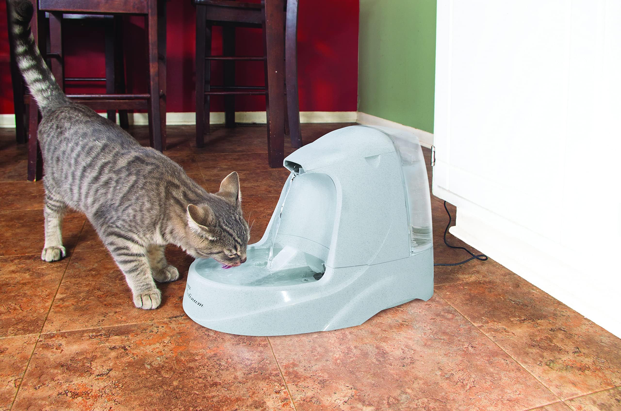 PetSafe - Drinkwell Platinum fontanna wodna dla psów i kotów, 5 l, dozownik wody dla zwierząt domowych, regulowany przepływ, zatrzymuje zapachy i bakterie - łatwa do czyszczenia