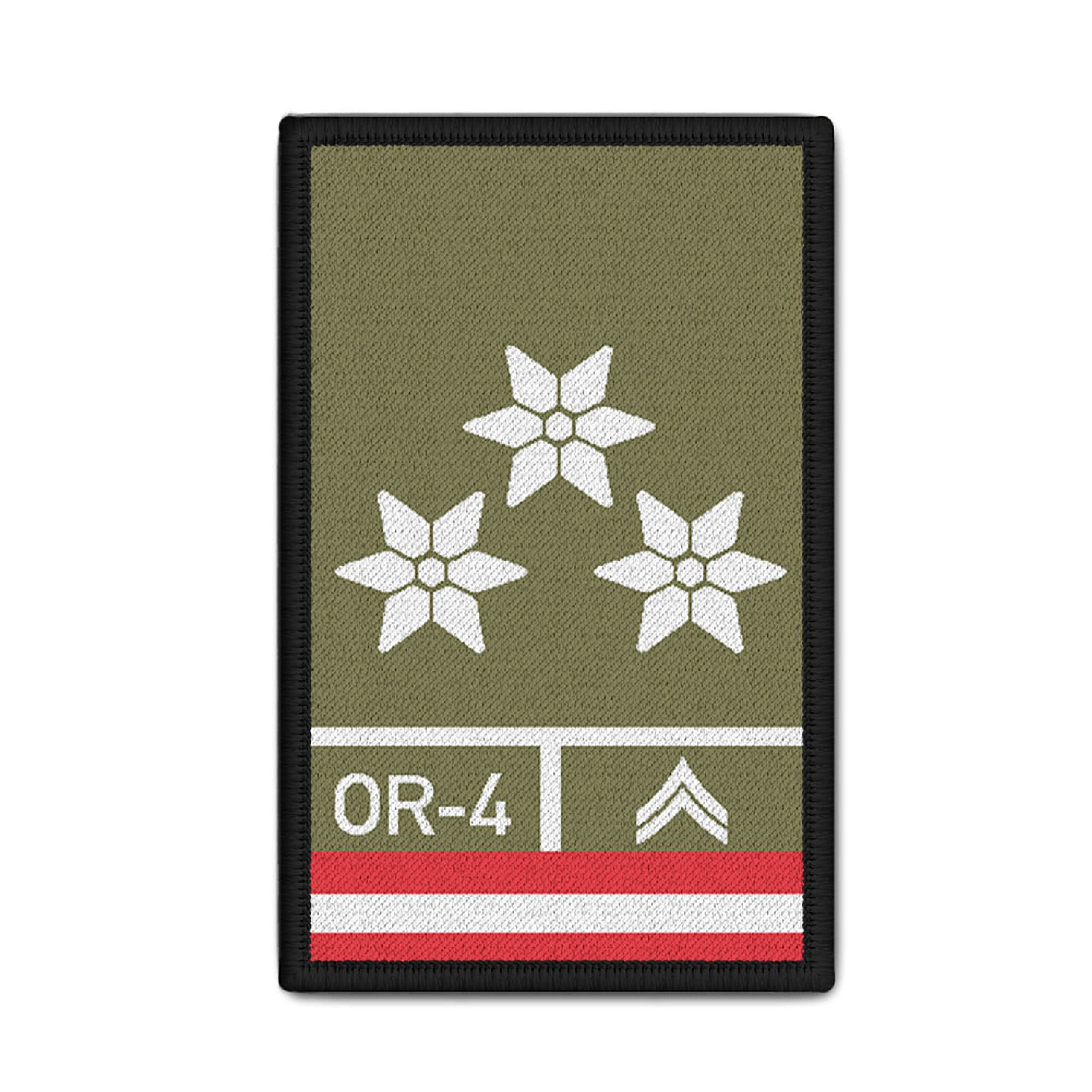 Rank Patch German Army Train Guide Zgf ZF Service Level Austria 9.8 x 6 cm #37101