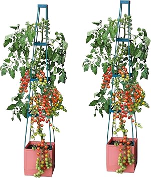 Garden Grow Self Watering 4 Tier Tomato Tower Jumbo Fruit & Vegetable Vine Plant, Support Grower, Decorative Multi Stage 1.5m Weatherproof Tower Garden Planter 2