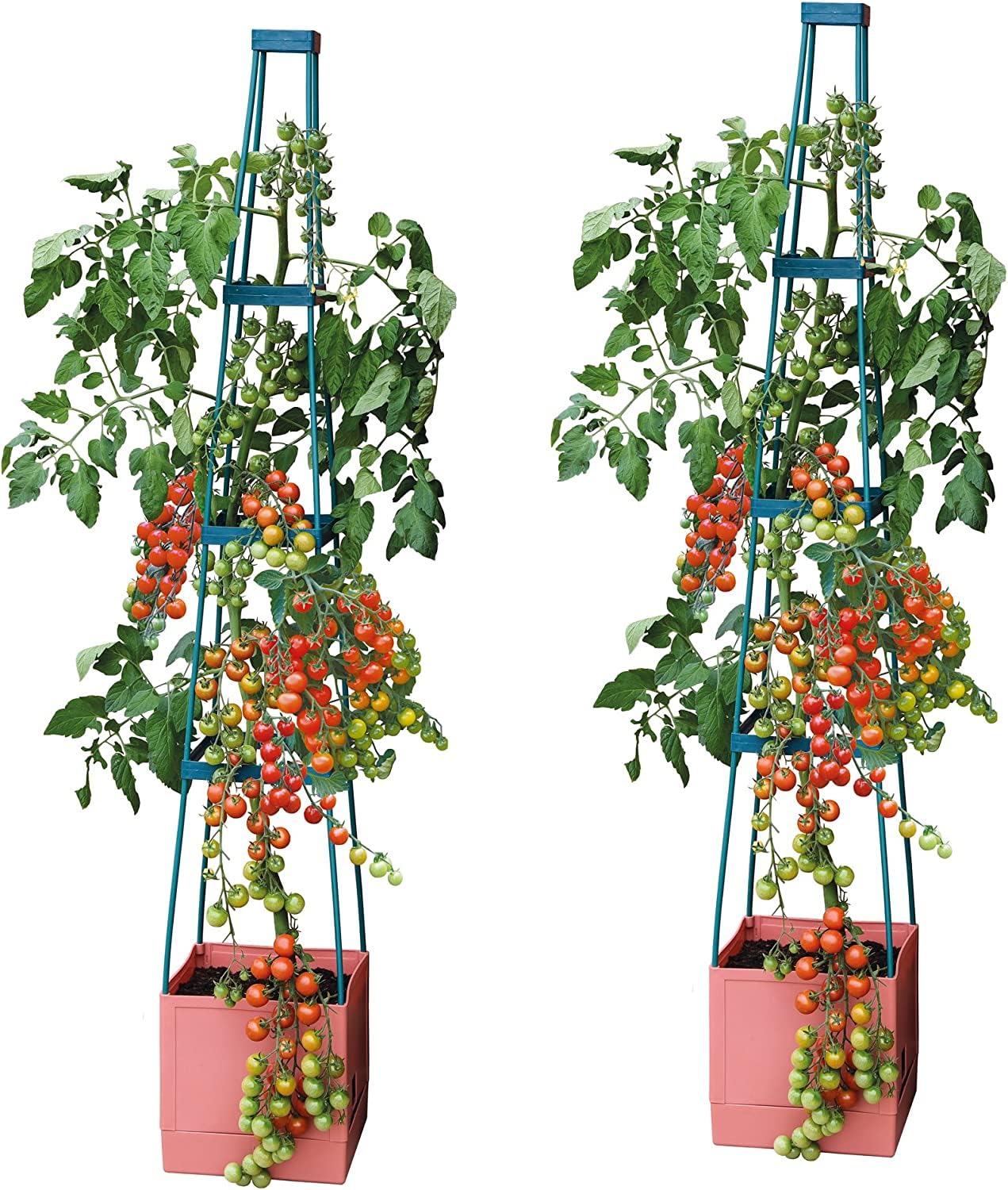 Garden Grow Brown Self Watering 4 Tier Tomato Tower Jumbo Fruit & Vegetable Vine Plant, Support Grower, Decorative Multi Stage 1.5M Weatherproof Tower Garden Planter (2)