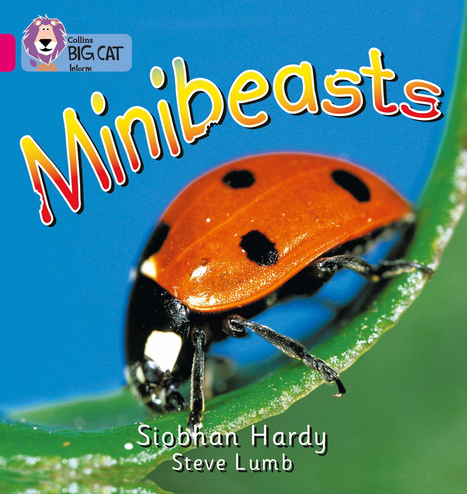 BIG CAT - MINIBEASTS Band 01a/Pink a by Siobhan Hardy (Paperback Book)
