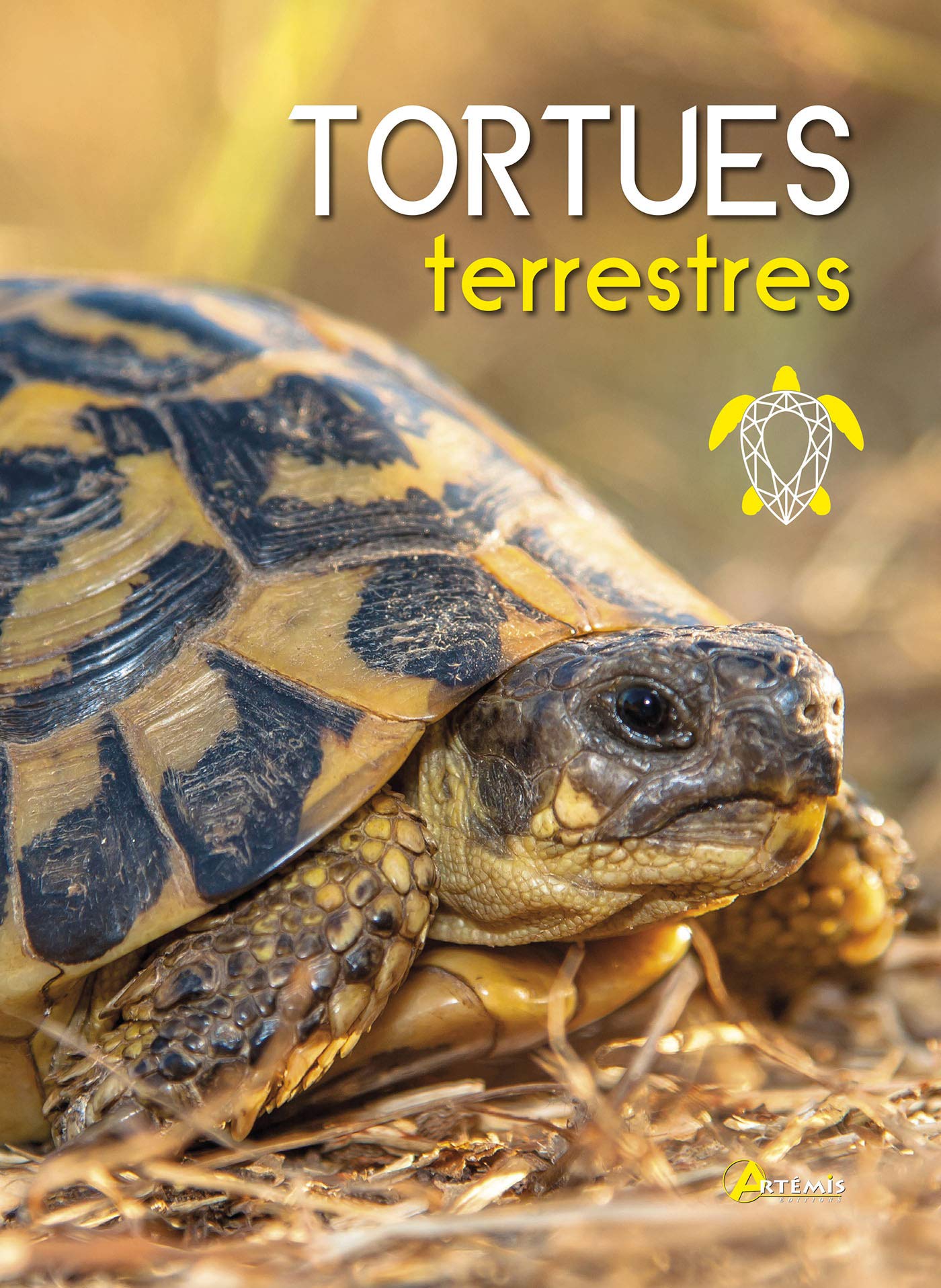 Comment On Dit Tortue En Anglais La Tortue De Jardin | freixenet.com