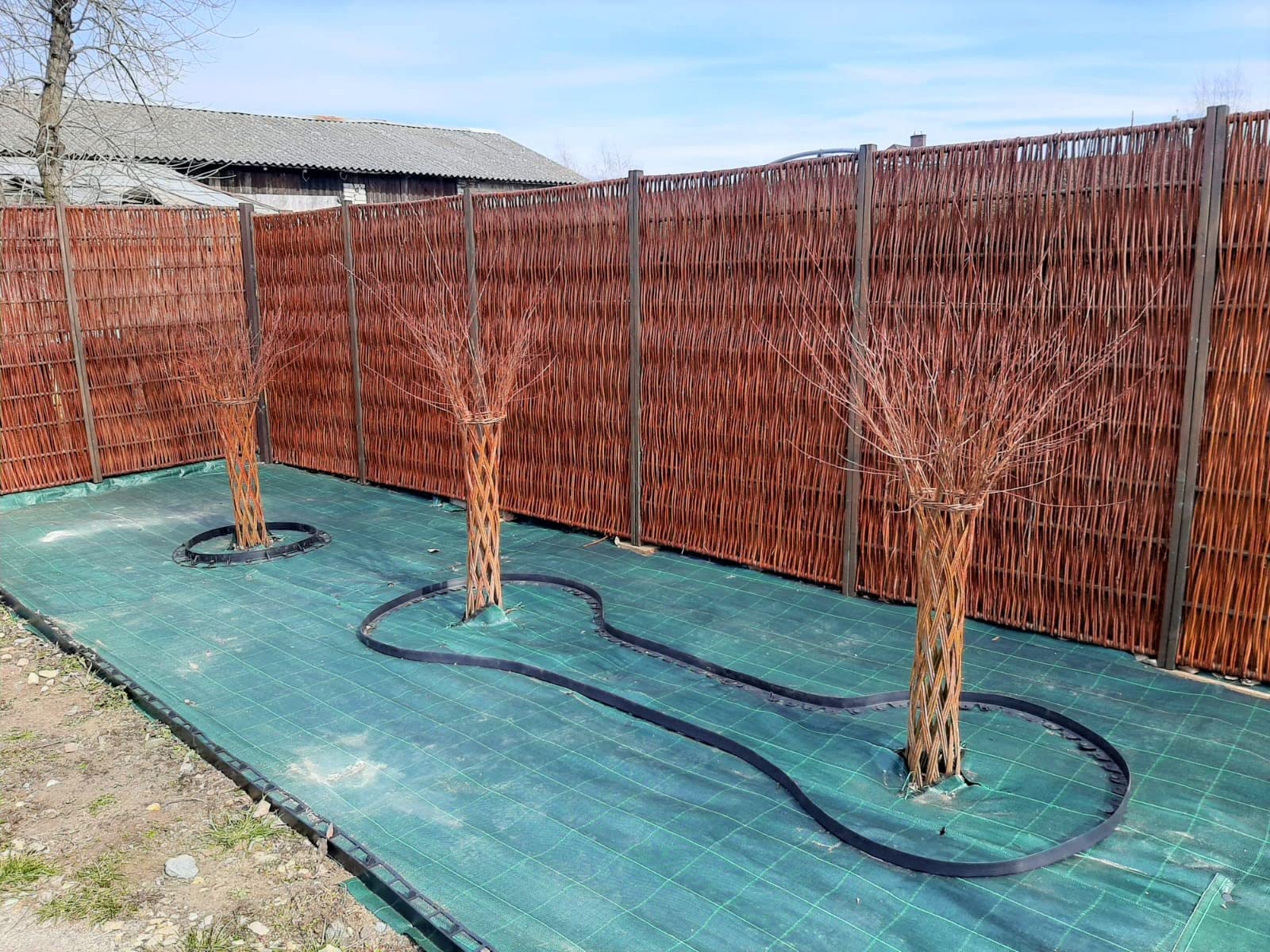 160 m² (100m x 1,6m) Zielona Agrowłóknina Ogrodowa Przeciw Chwastom - Agrotkanina 100g/m² - Wysoka Stabilizacja UV - Mata Ściółkująca Przepuszczająca Wodę