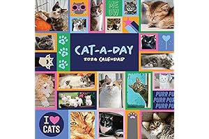 TF PUBLISHING 2022 Calendar 2022 Cats