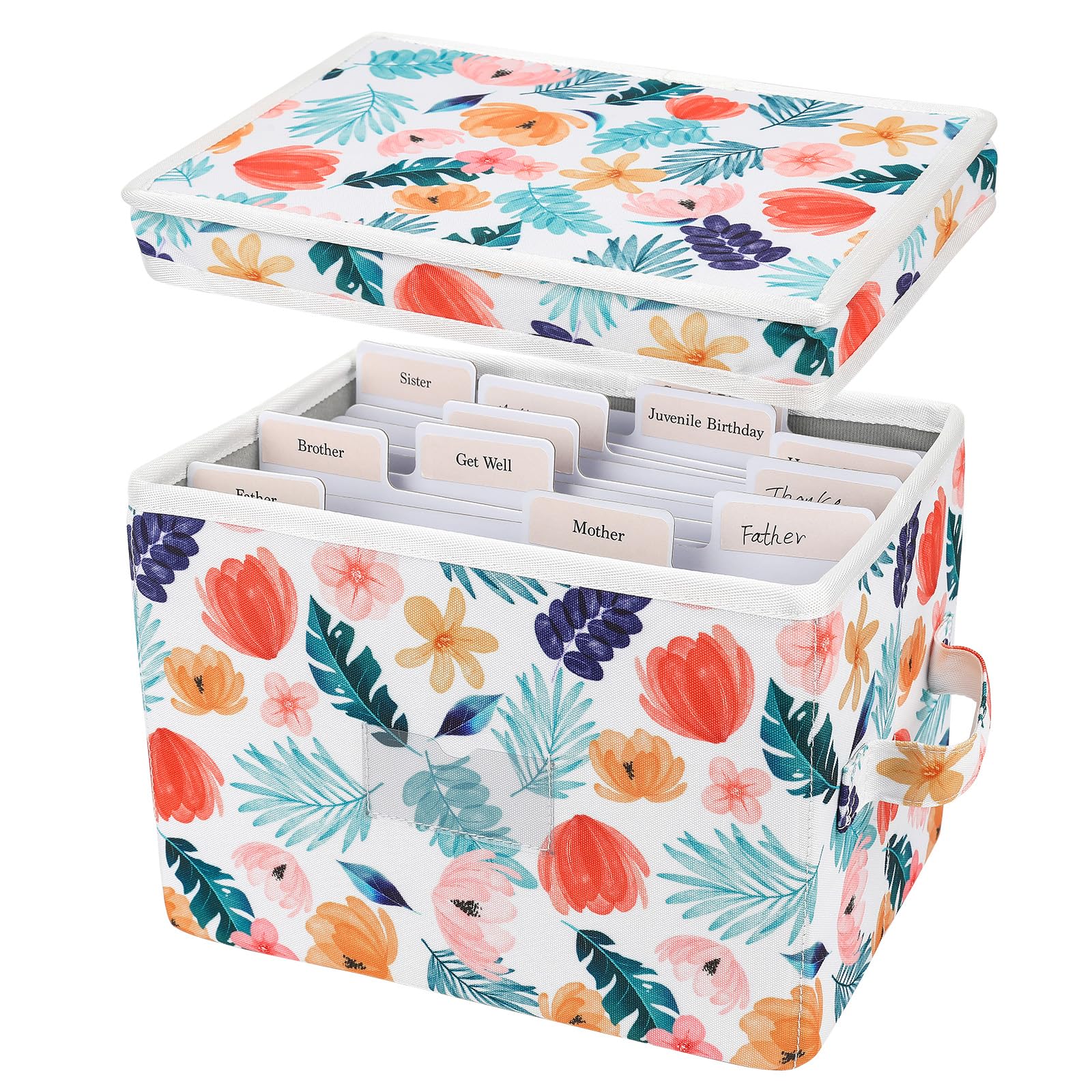 Amazon.com: PZRLit Greeting Card Organizer Box with 12 Removable