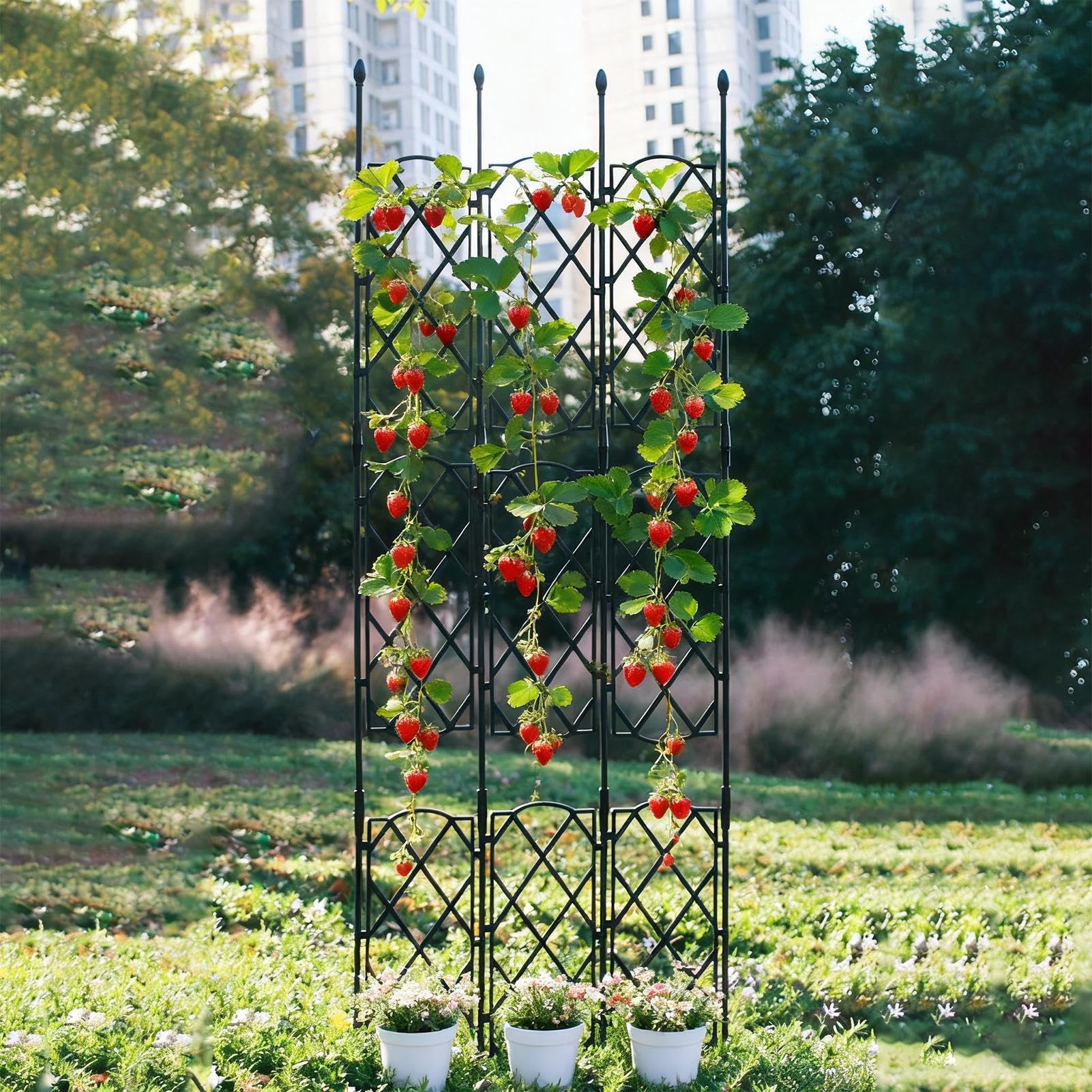 Rankgitter für Topfpflanzen, Gemüseanbau, Obelisk-Strukturen | Klettergurkenstütze, Rankgitter – für Bohnen, Kürbis, Früchte, Trauben, Rosen, Efeu, Blumen, Pothos