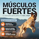 Ver la foto 4