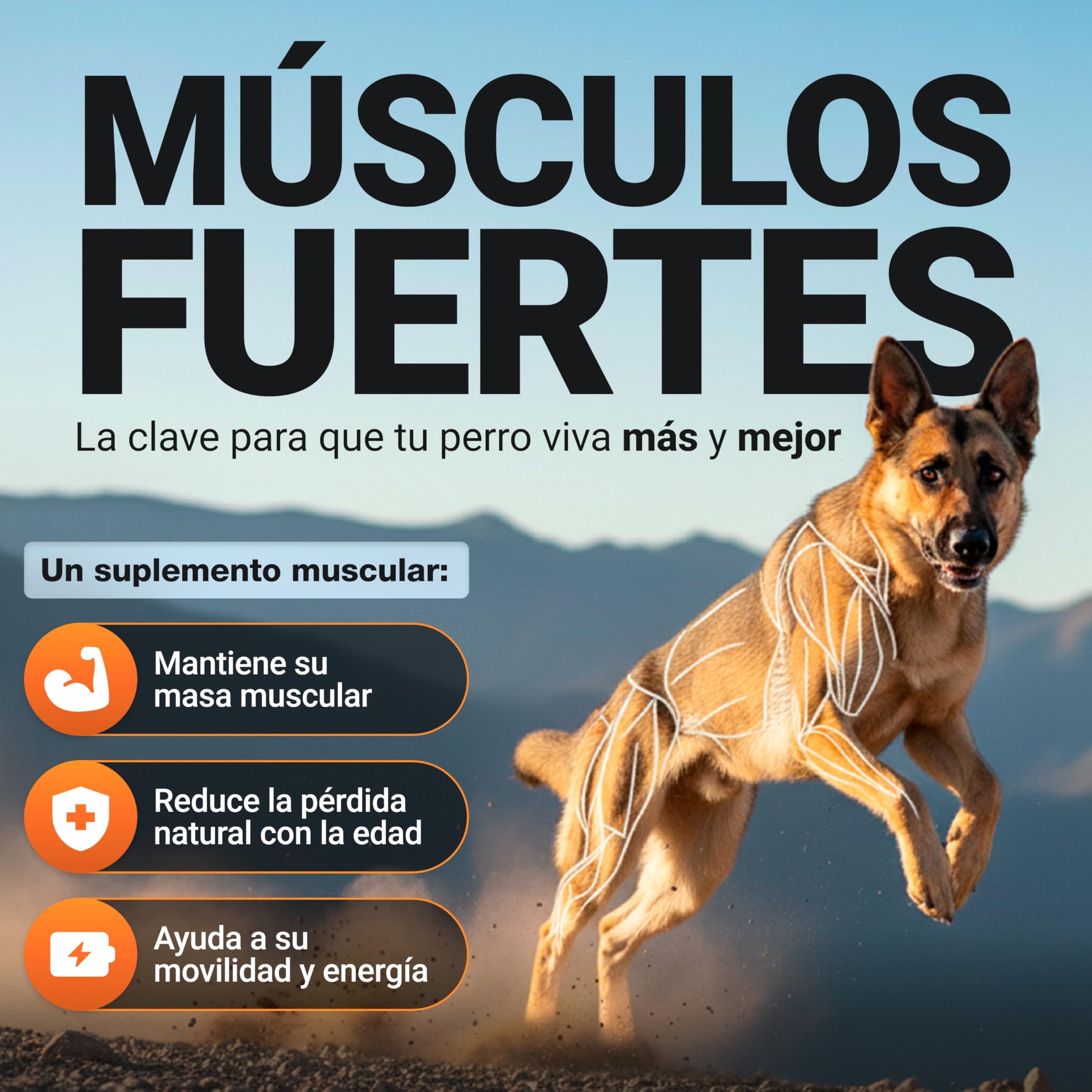 Power Tabs – Suplemento para Ganar Peso y Aumentar Masa Muscular en Perros | Tabletas Proteicas de Alto Rendimiento