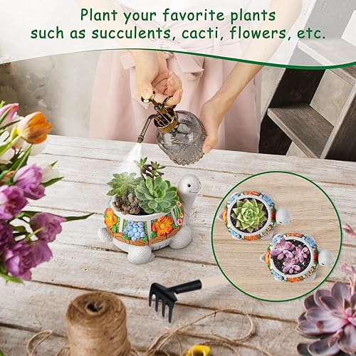 Miniatura 2 de LESES Macetas para suculentas, macetas de tortuga con orificio de drenaje, bonitas macetas para cactus, macetas suculentas para plantas de interior,