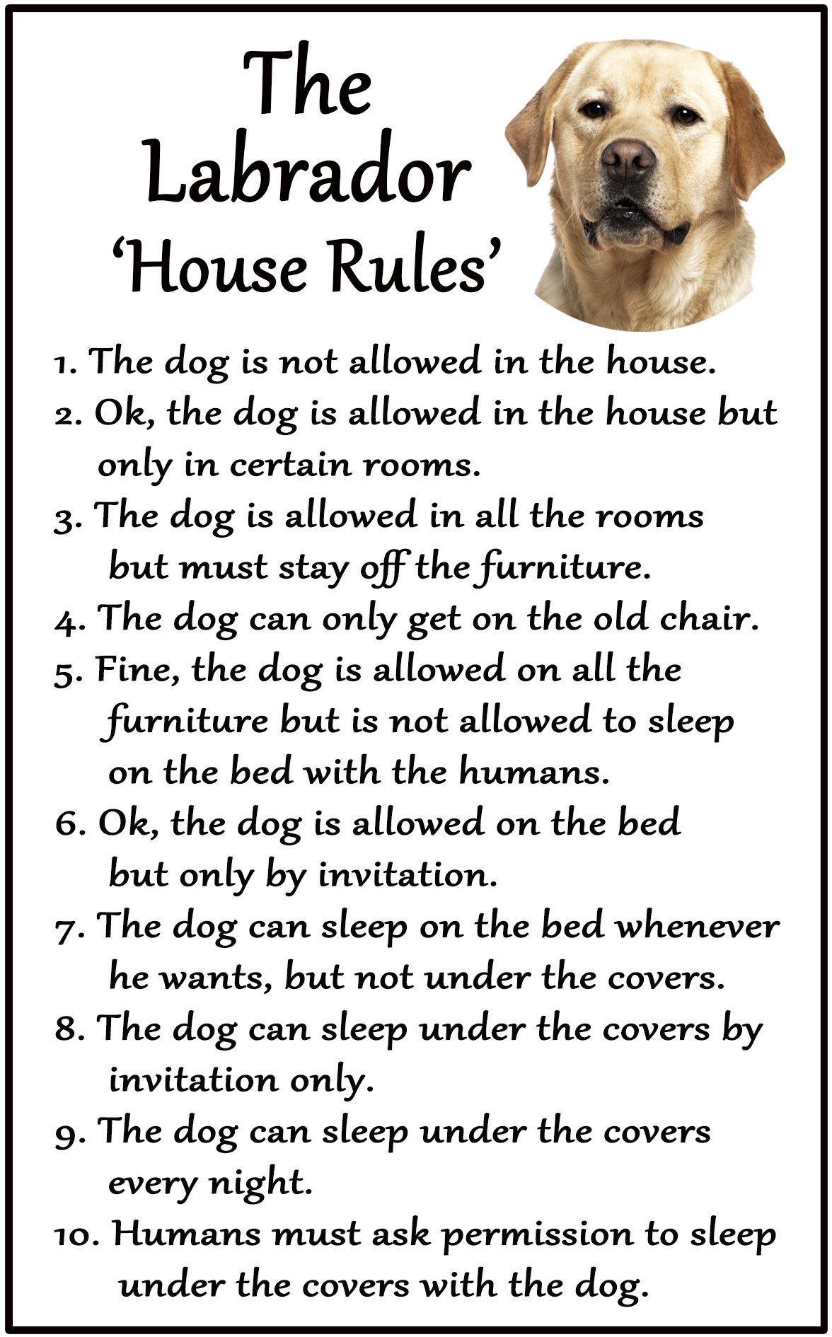 Fridge Magnets White Labrador Yellow Lab Gift - House Rules - Large Fun Flexible Fridge Magnet- Size 16Cms X 10 Cms (Approx. 6" X4")