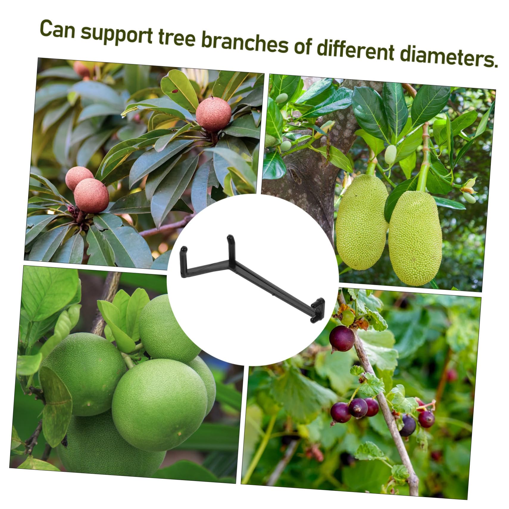 Set 10 Pezzi Strumenti per Piegatura Rami di Piante e Alberi da Frutto in PE Nero, Accessori per Modellazione Rami, Supporto per Giardinaggio e Cura Piante