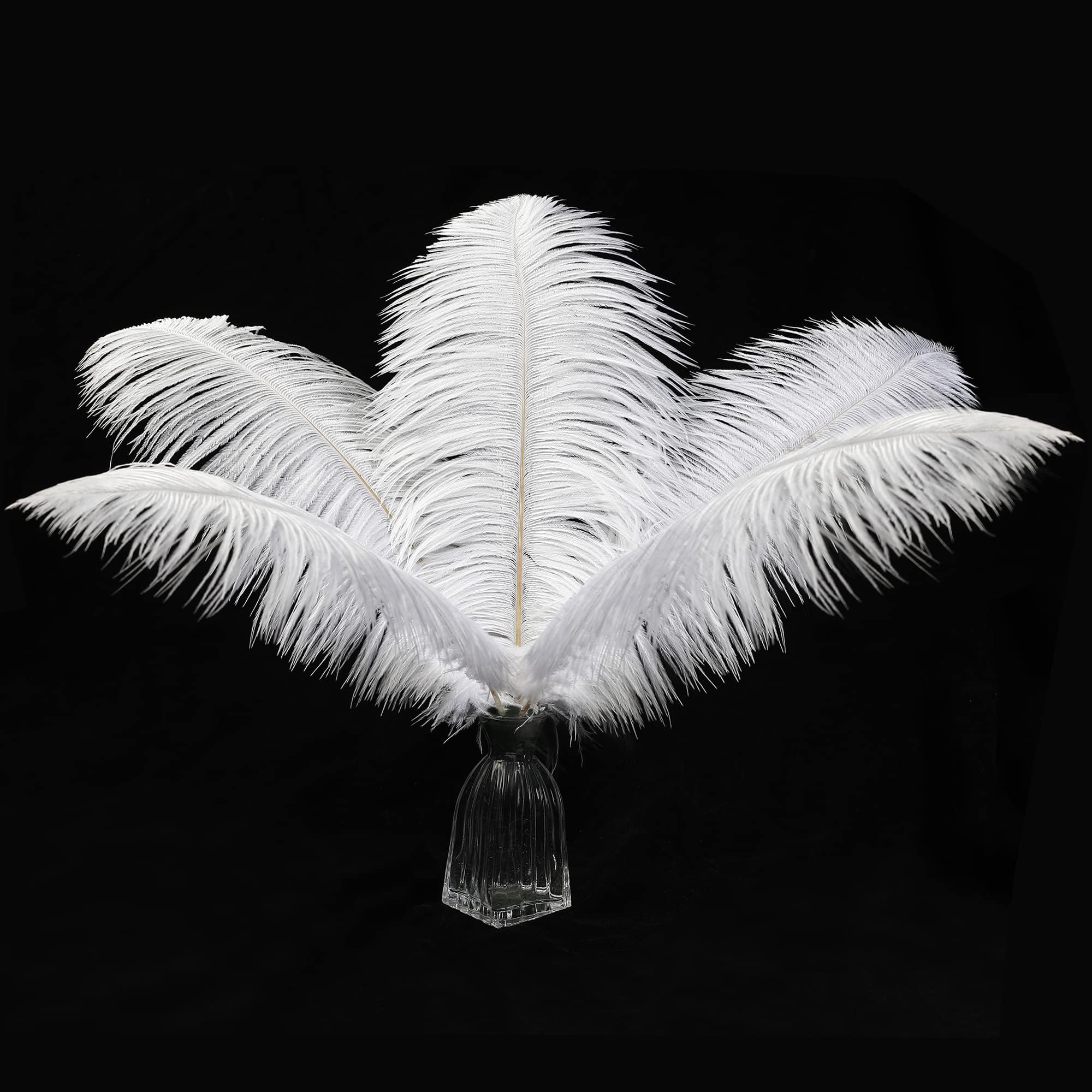 12pcs Natural Ostrich Feathers 12-14inch for Wedding Party Centerpieces
