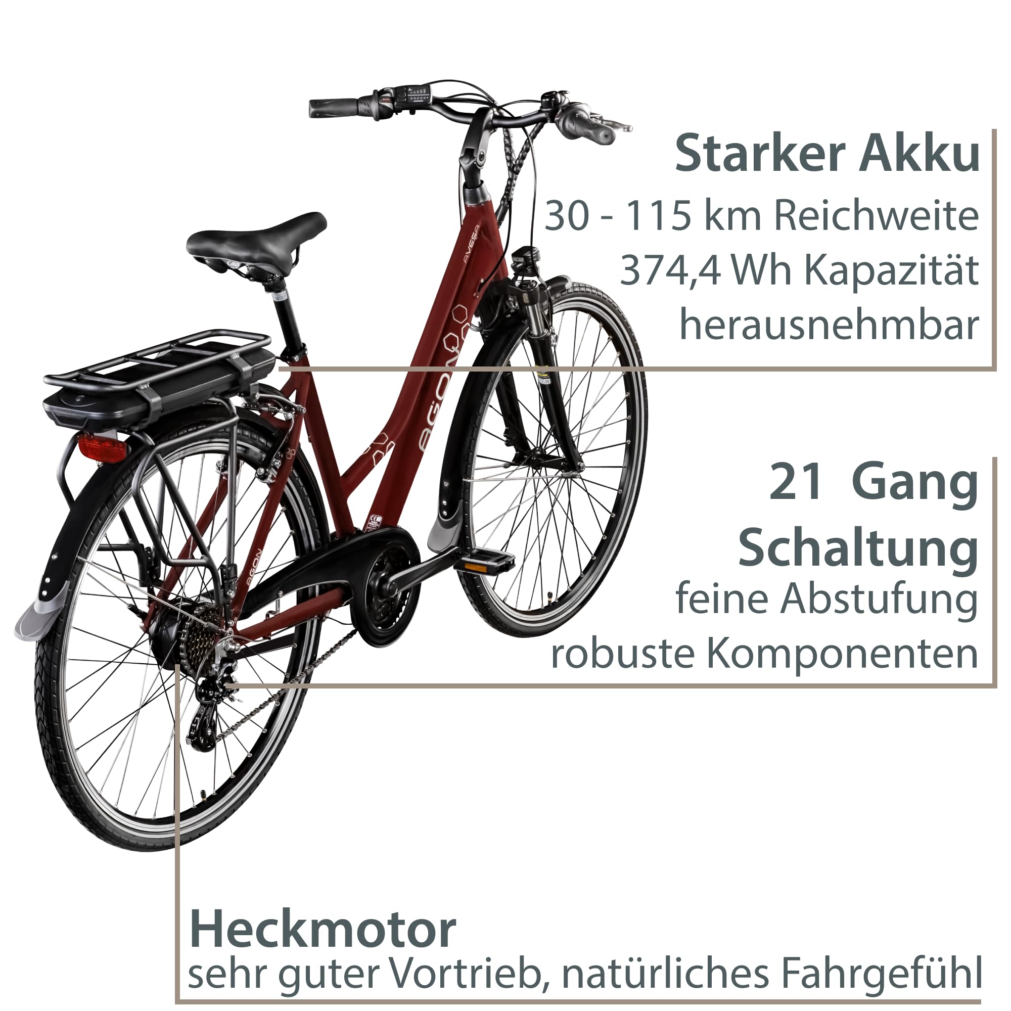 AGON Avesa E-Bike Trekkingrad Pedelec Damen Nabenmotor 21 Gang