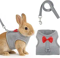 Conjunto de arnês e coleira de coelho com laço fofo, colete de malha macia para coelhos, colete ajustável para coelhos, acessórios para caminhadas de coelhos (cinza)