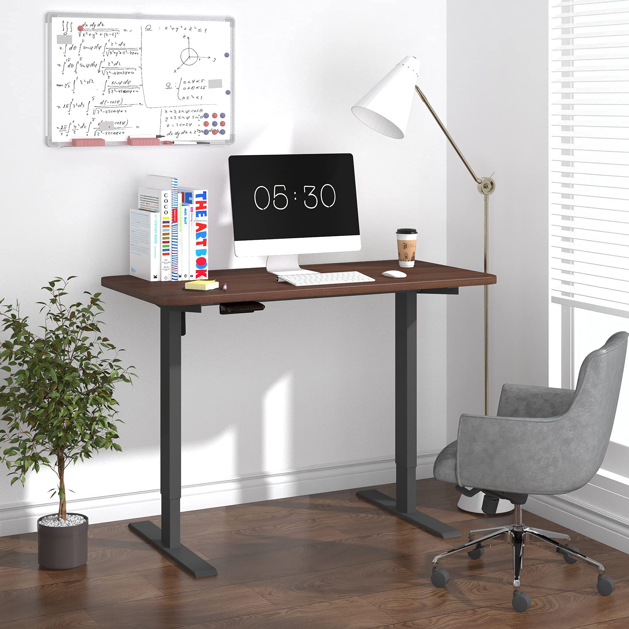 HOUSEELF Electric Height Adjustable Standing Desk - 48 x 24 Inches Stand Up Computer Writing Desk with Smart Memory Screen for Home, Office, Workstation, Black Frame & Walnut Top