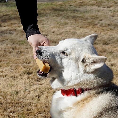 Miniatura 6 de KATHMANDU'S - Masticables 100% naturales de queso del Himalaya para perros pequeños (paquete de 15) - para mejorar la higiene dental y una nutrición