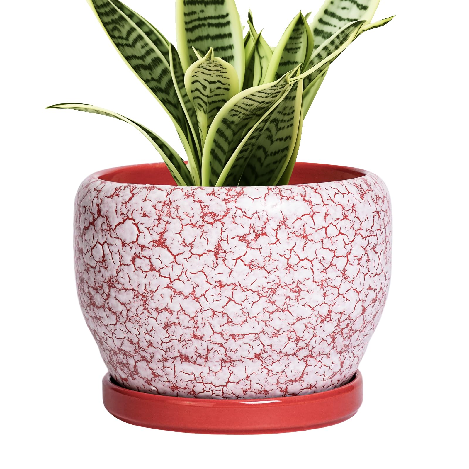 SQOWL Crack Red Plant Pot