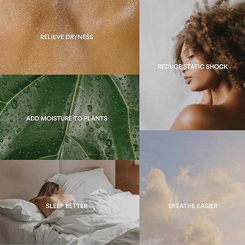 Miniatura 4 de Homedics Humidificador ultrasónico de llenado superior, niebla fría, boquilla de 360, hasta 25 horas de tiempo de funcionamiento, para habitación