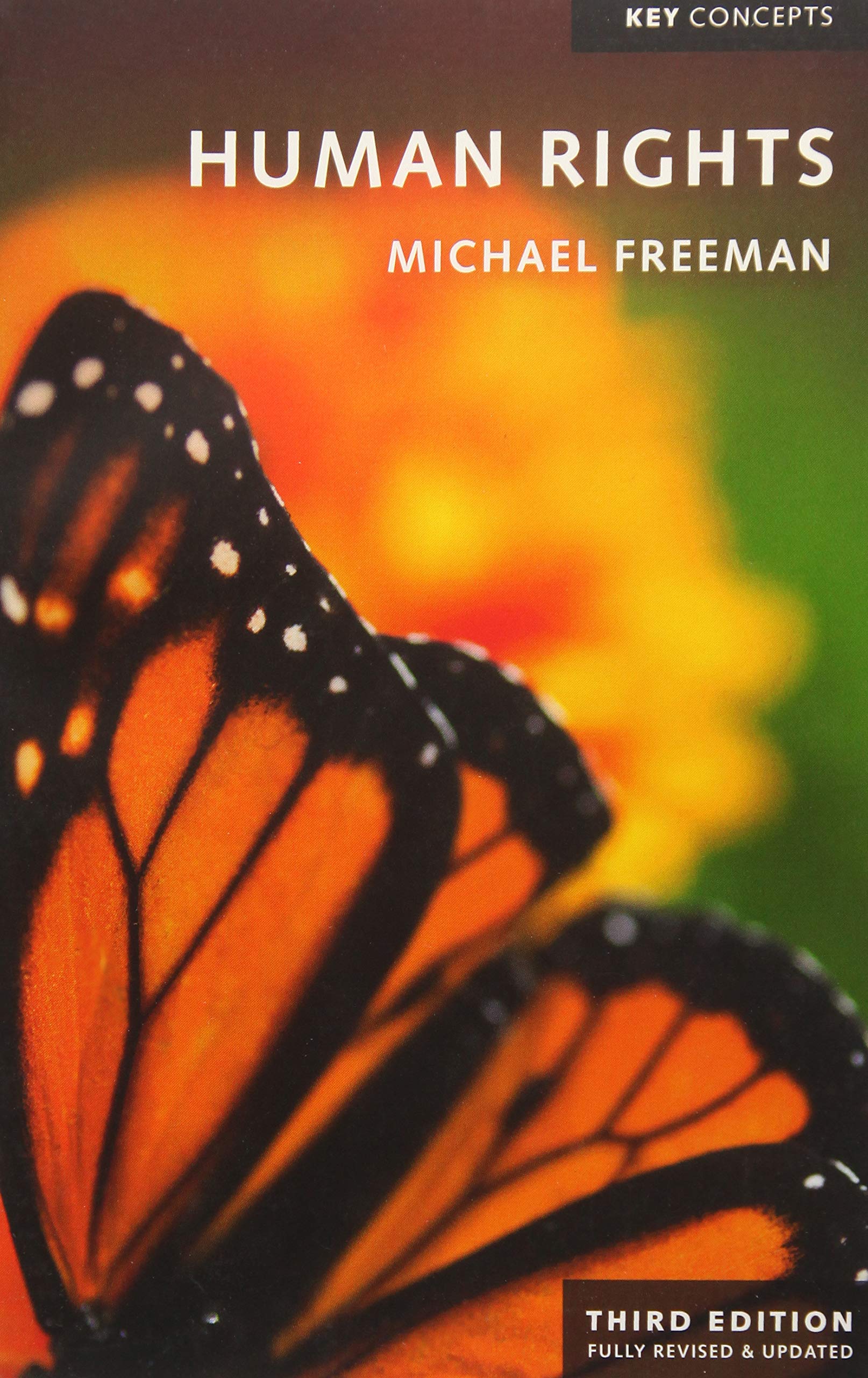 Human Rights, 3rd Edition (Key Concepts)