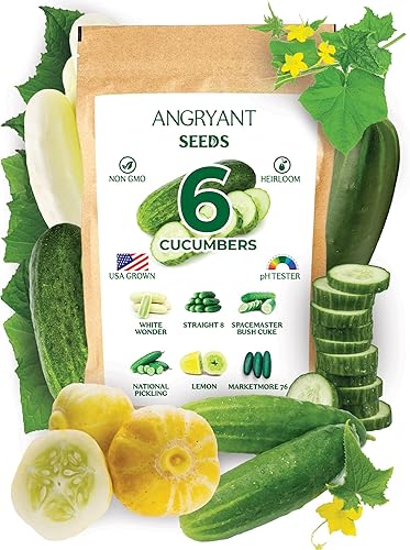 Paquete variado de 6 semillas de pepino, sin OMG, semillas tradicionales para plantar en interiores, exteriores e hidropónicos, cultivadas en