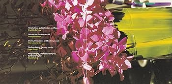 洋楽 Paul McCartney From A Lover To A Friend Amazon.co.jp: From a Lover to a Friend: ミュージック