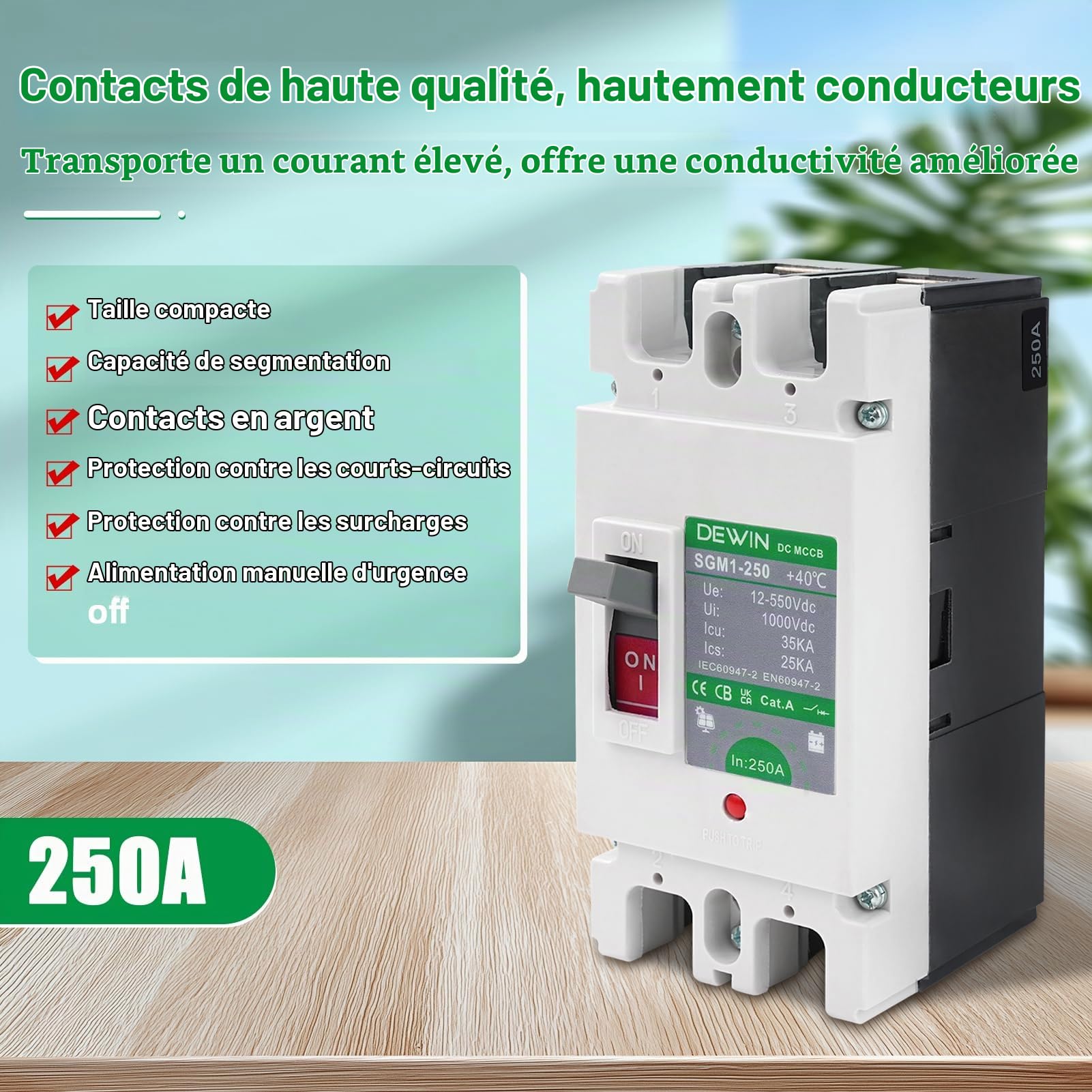 DEWIN Disjoncteur CC 250A, disjoncteur CC boîtier MCCB interrupteur principal de batterie solaire interrupteur de déconnexion de batterie 2P 250A 500V