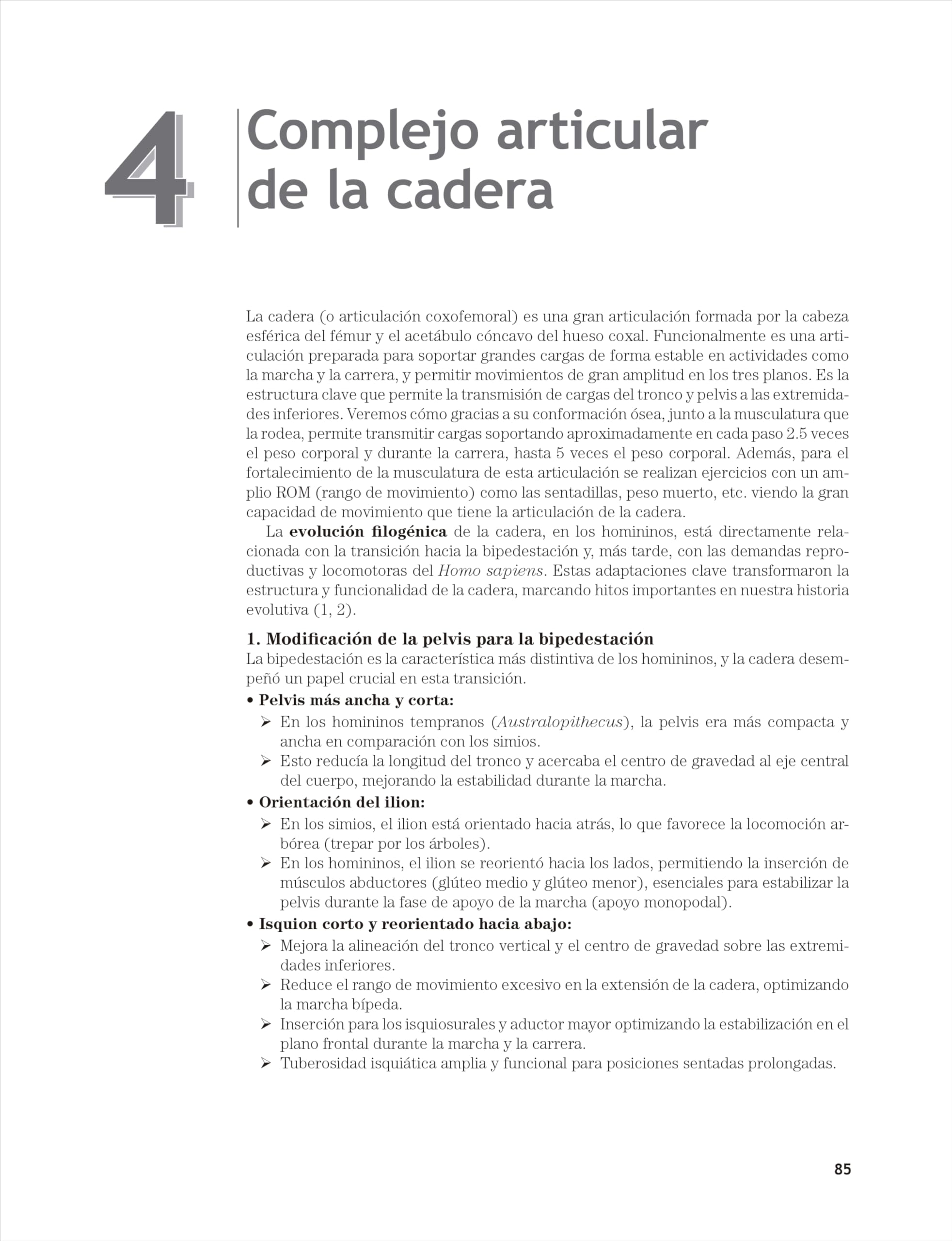 Anatomía funcional basada en la biomecánica para amantes del movimiento