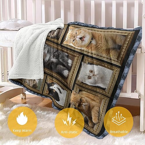 Miniatura 4 de Manta de gato persa, regalos para mujeres y hombres, acogedora manta suave y mullida para sofá, cama, viajes, manta ligera de franela de felpa y