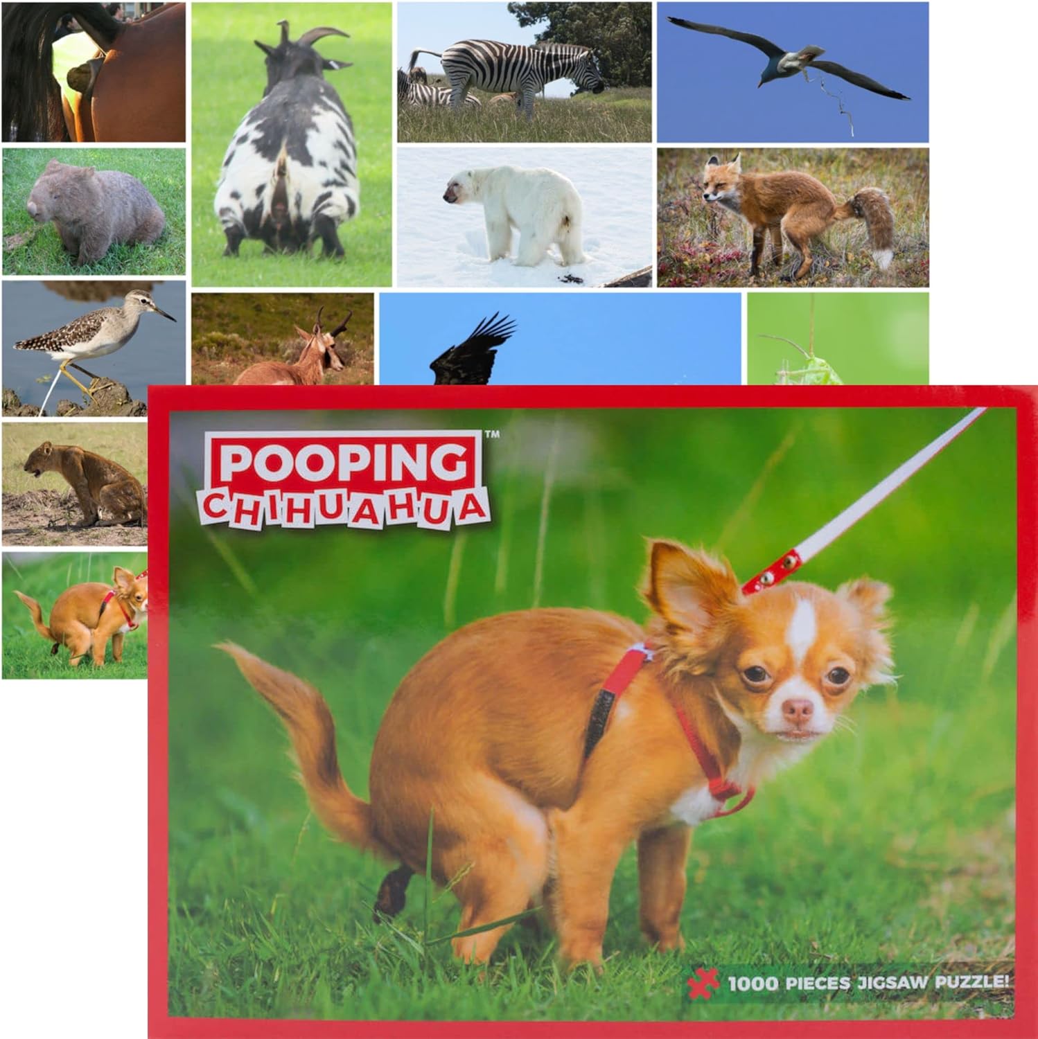 Pooping Animals 500 Piece Puzzles & Pooping Chihuahua 1000