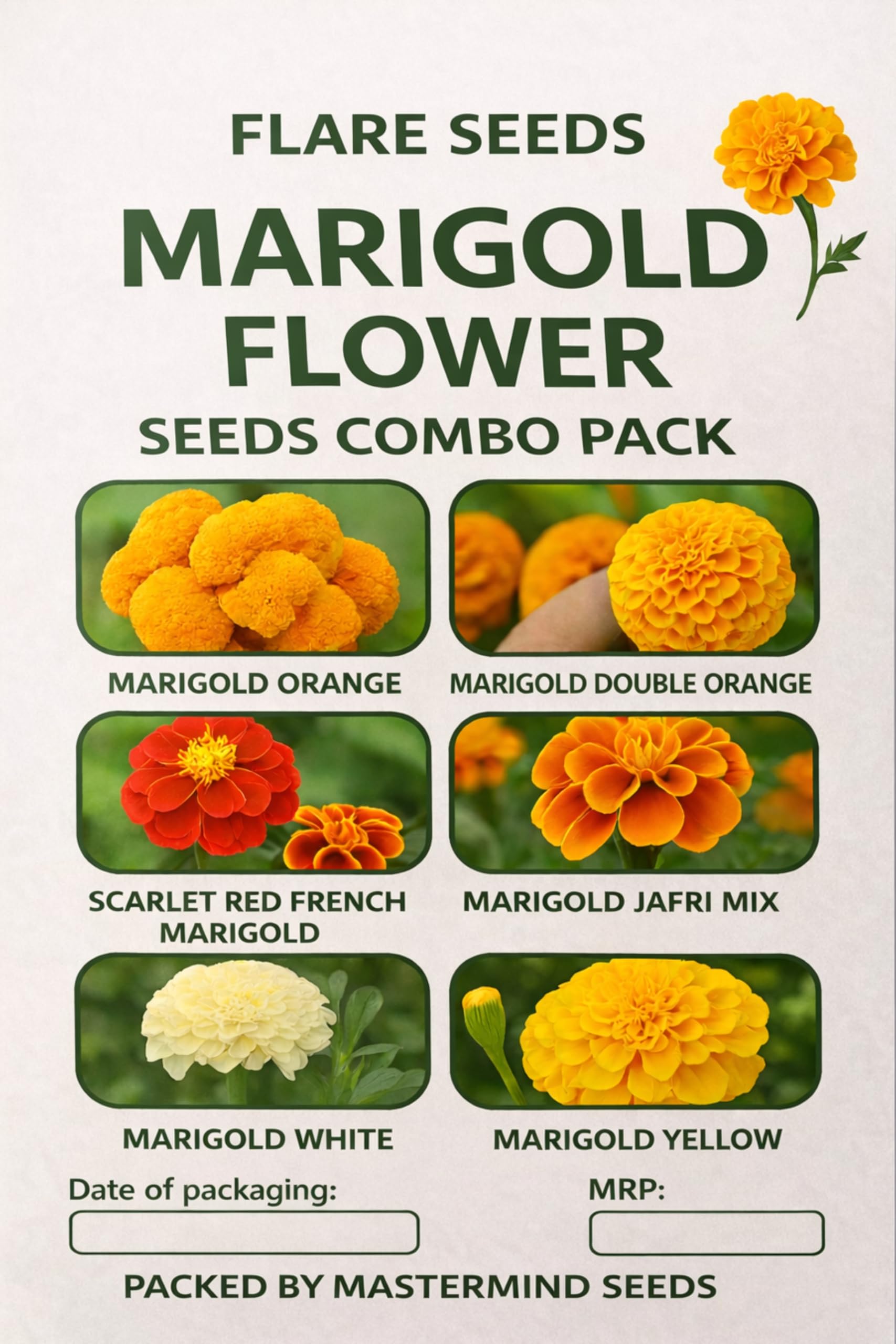 Marigold Flower Seeds Combo Pack, 6 Varieties, 2000-2500 Seeds, Orange Yellow White Red Mixed Colors, Home Garden-image-29