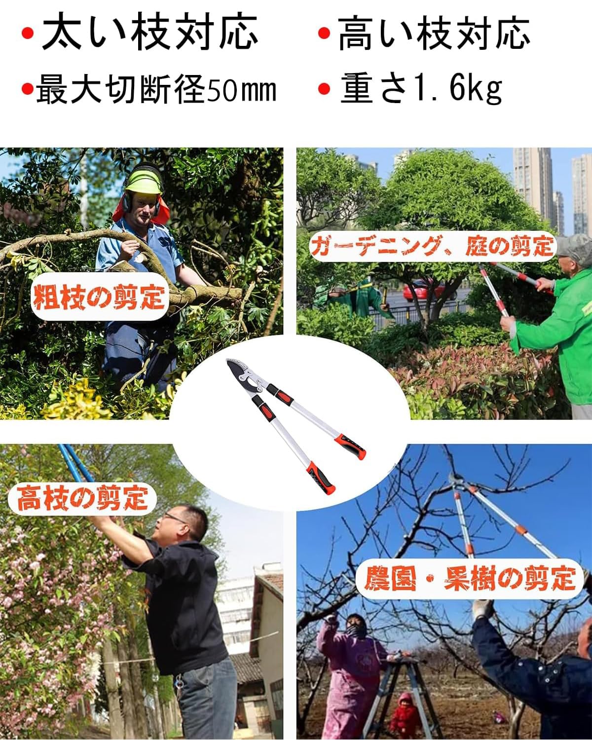Amazon | 枝切りばさみ えだきりばさみ 5段調節式68-104cm SK-5
