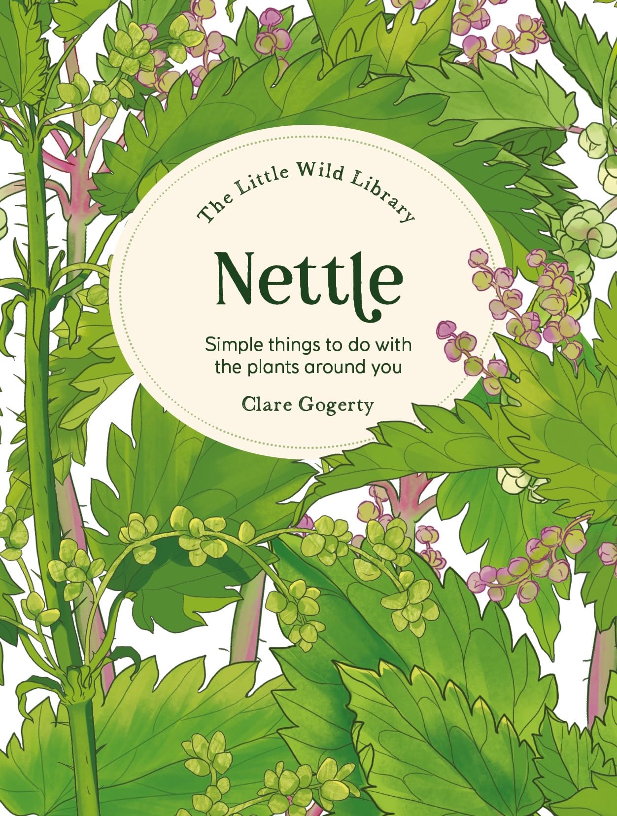 The Little Wild Library: Nettle: Simple things to do with the plants around you