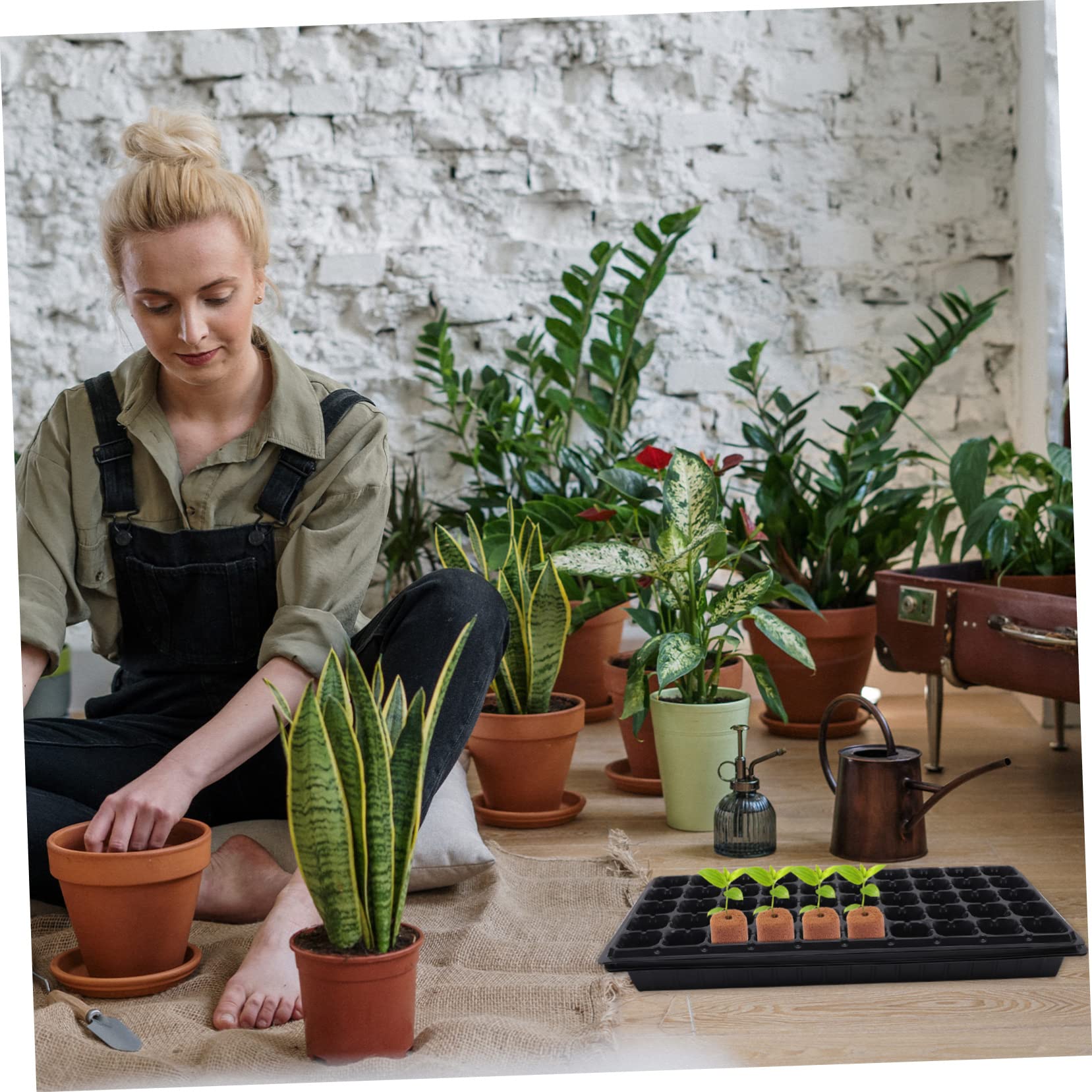 BESPORTBLE 500piezas Bloques Nutrientes para Cultivo Sin Suelo Sustrato De Peat para Plantas y Plántulas para Jardinería Balcón y Huertos Urbanos