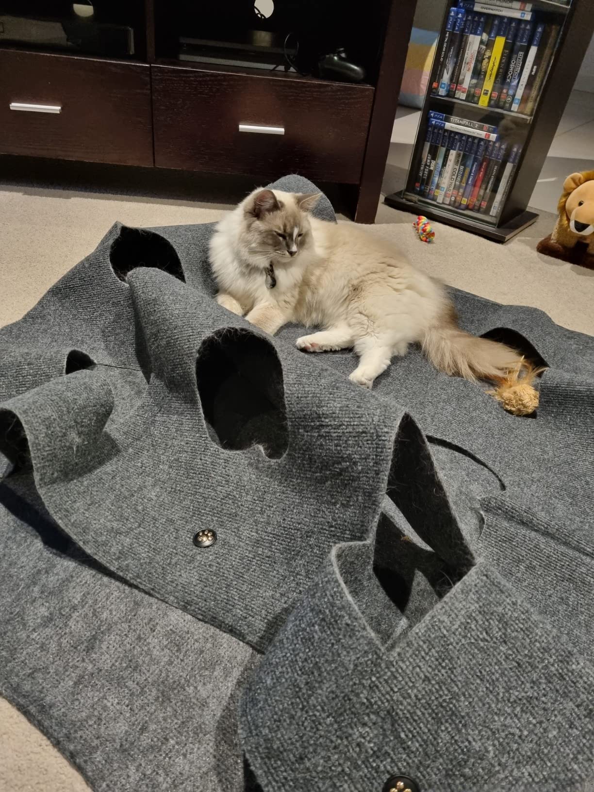 Collapsible Cat Agility Training Rug Mat Cat Activity Play Mat ...