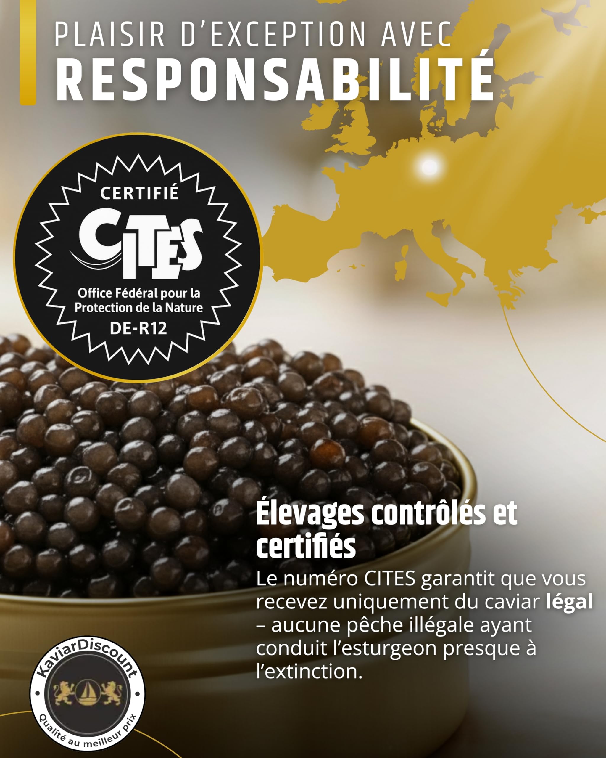Sepehr Dad Osietra Caviar Select | Cuillère en nacre gratuite | Elevage UE | 50g