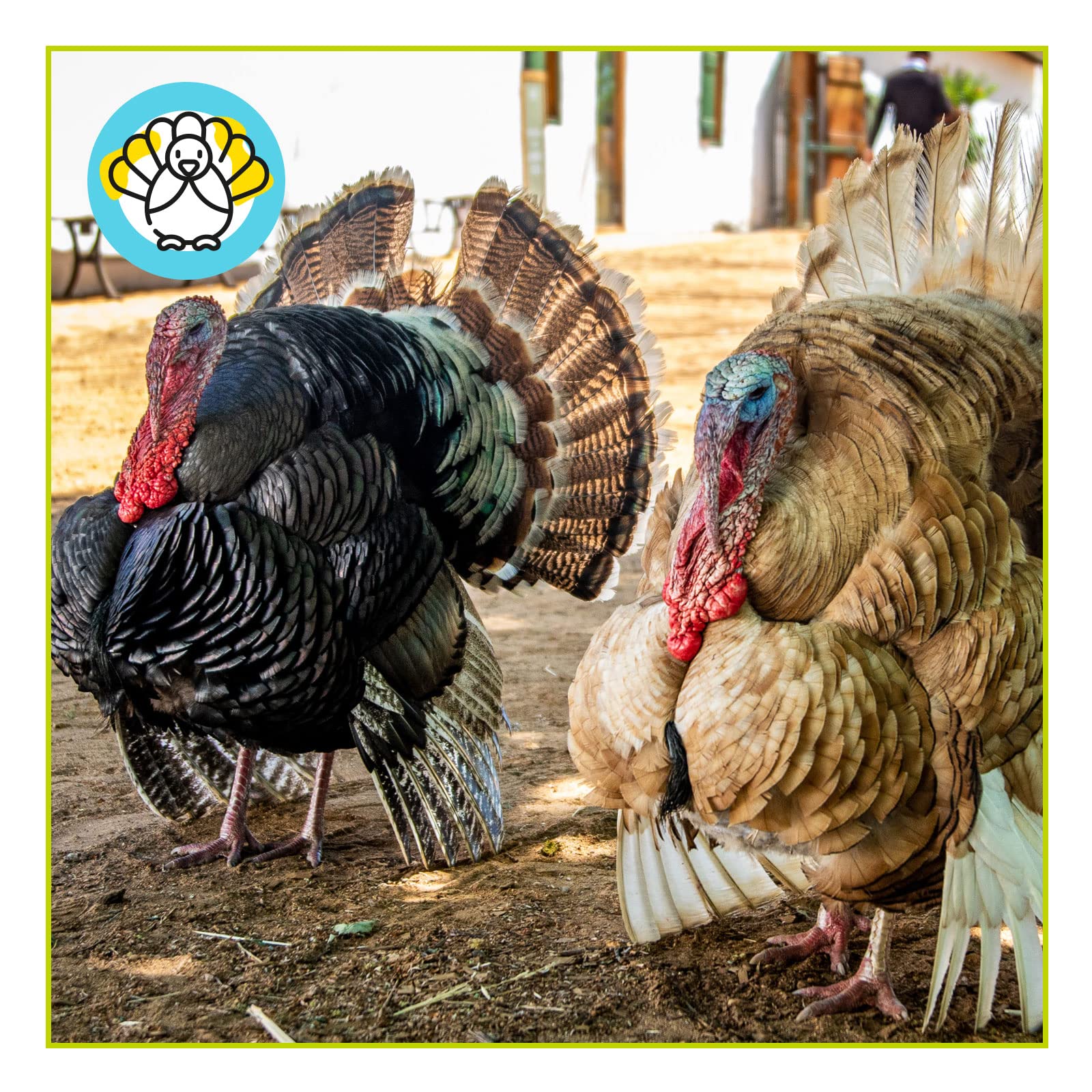 Pienso ECOLÓGICO pavos crecimiento. Saco 20kg