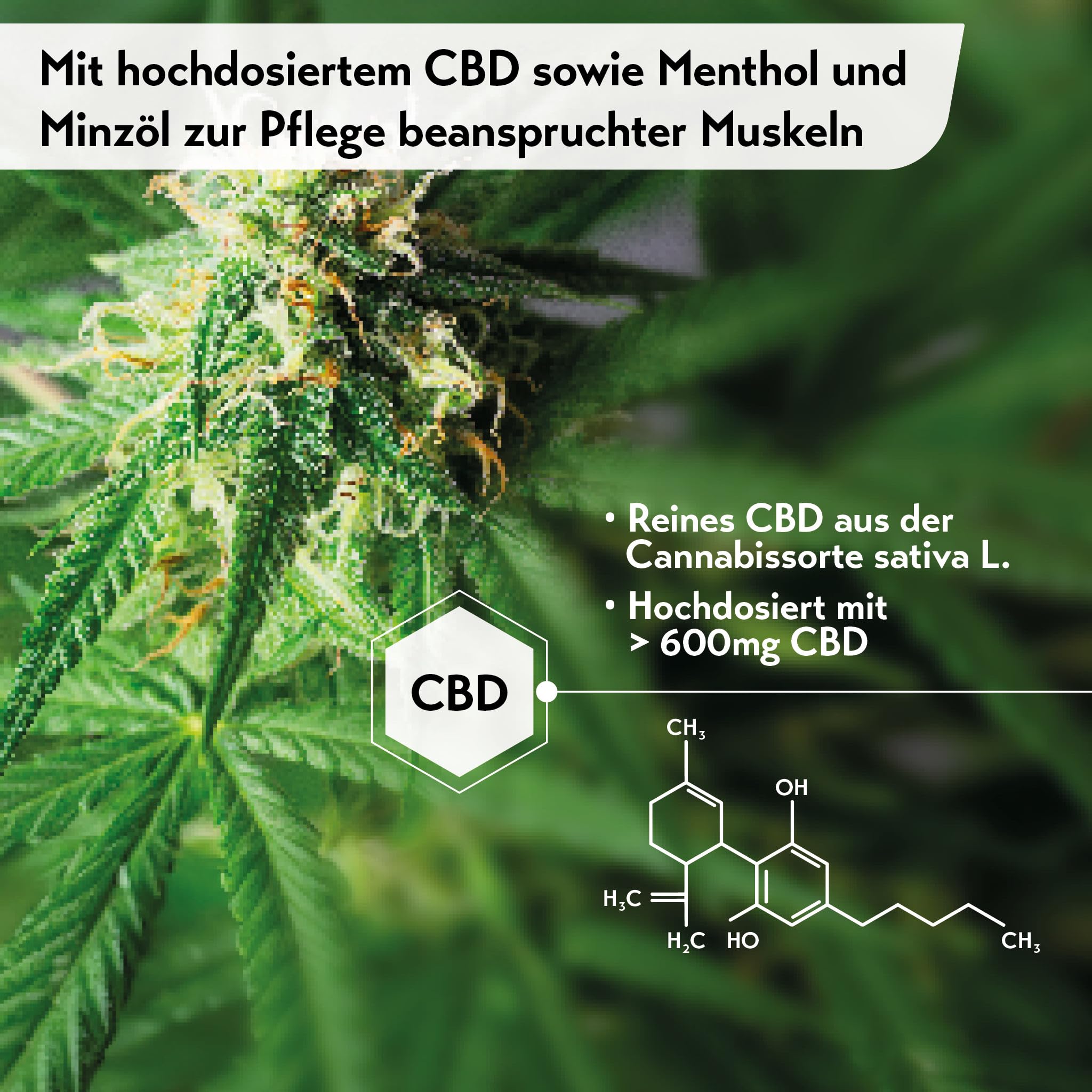 Rubaxx Cannabis CBD Gel 180 ml 900 mg CBD Cannabissalbe Menthol Minzöl THC-frei