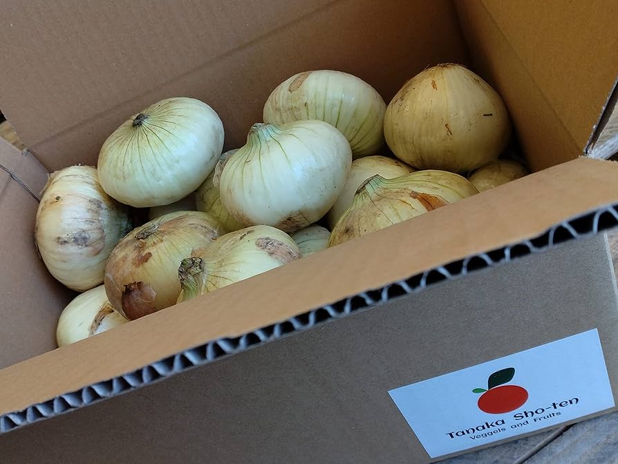 たまねぎにんじん様　S(フル) たまねぎスライス＆みじん切り ＜フルベジ＞（調理器具） | 212