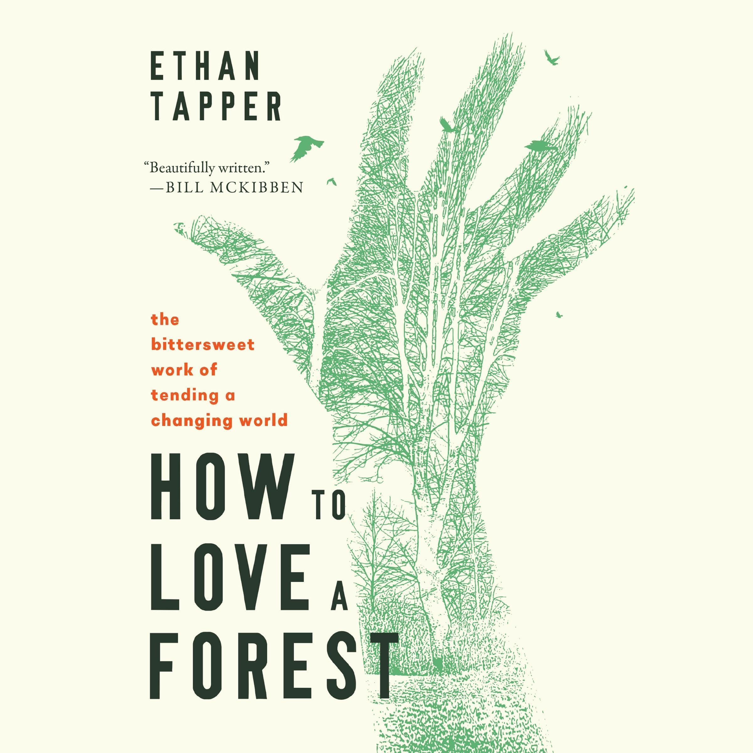 Cover art for How to Love a Forest