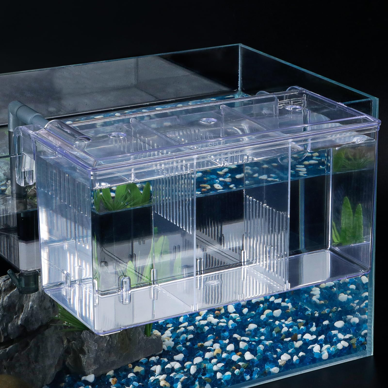 Aquarium Breeding Box Fish Tank Hatchery Incubator