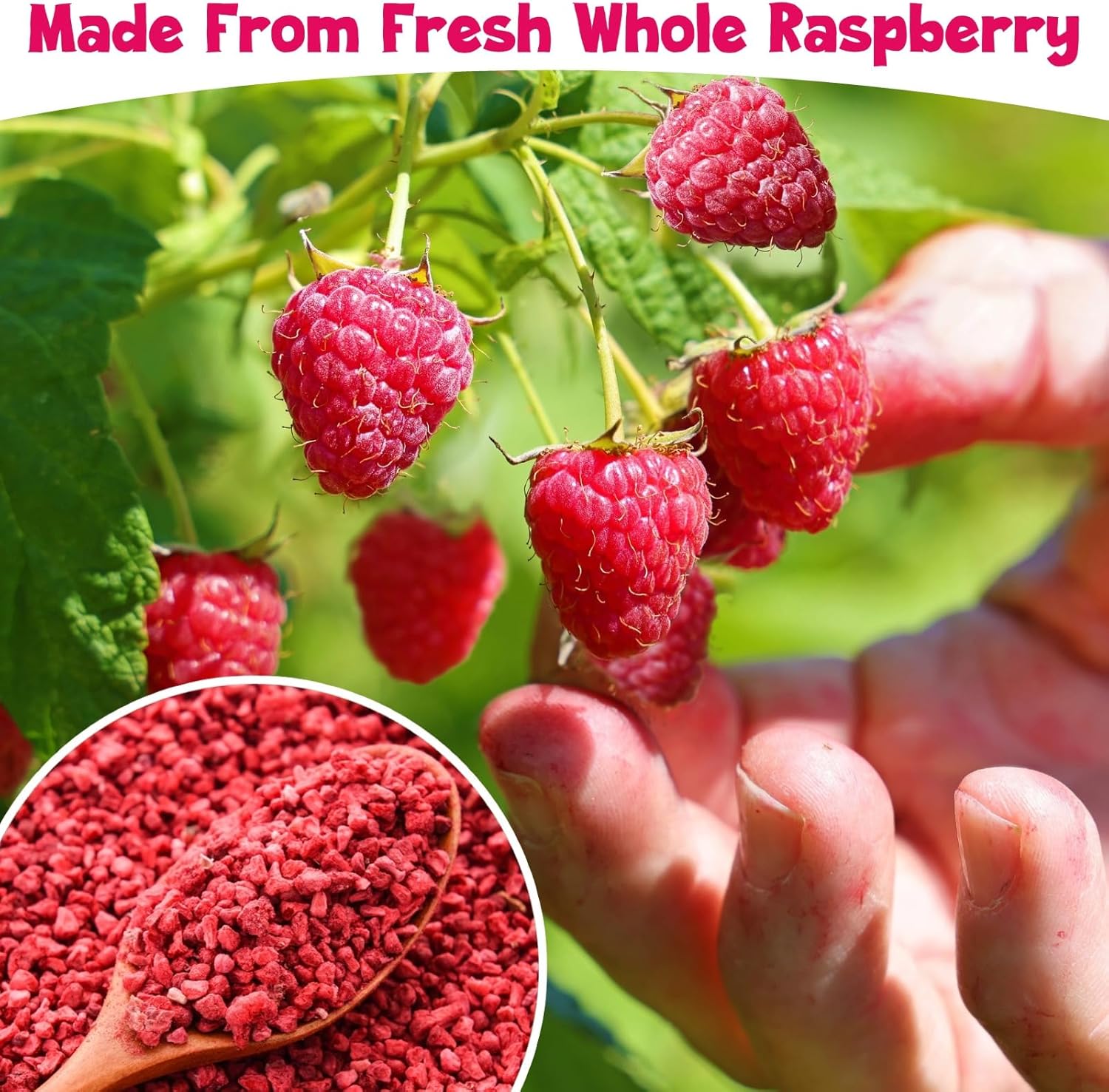 Premium Freeze Dried Raspberries Pieces - / e Dried Raspberries, Made