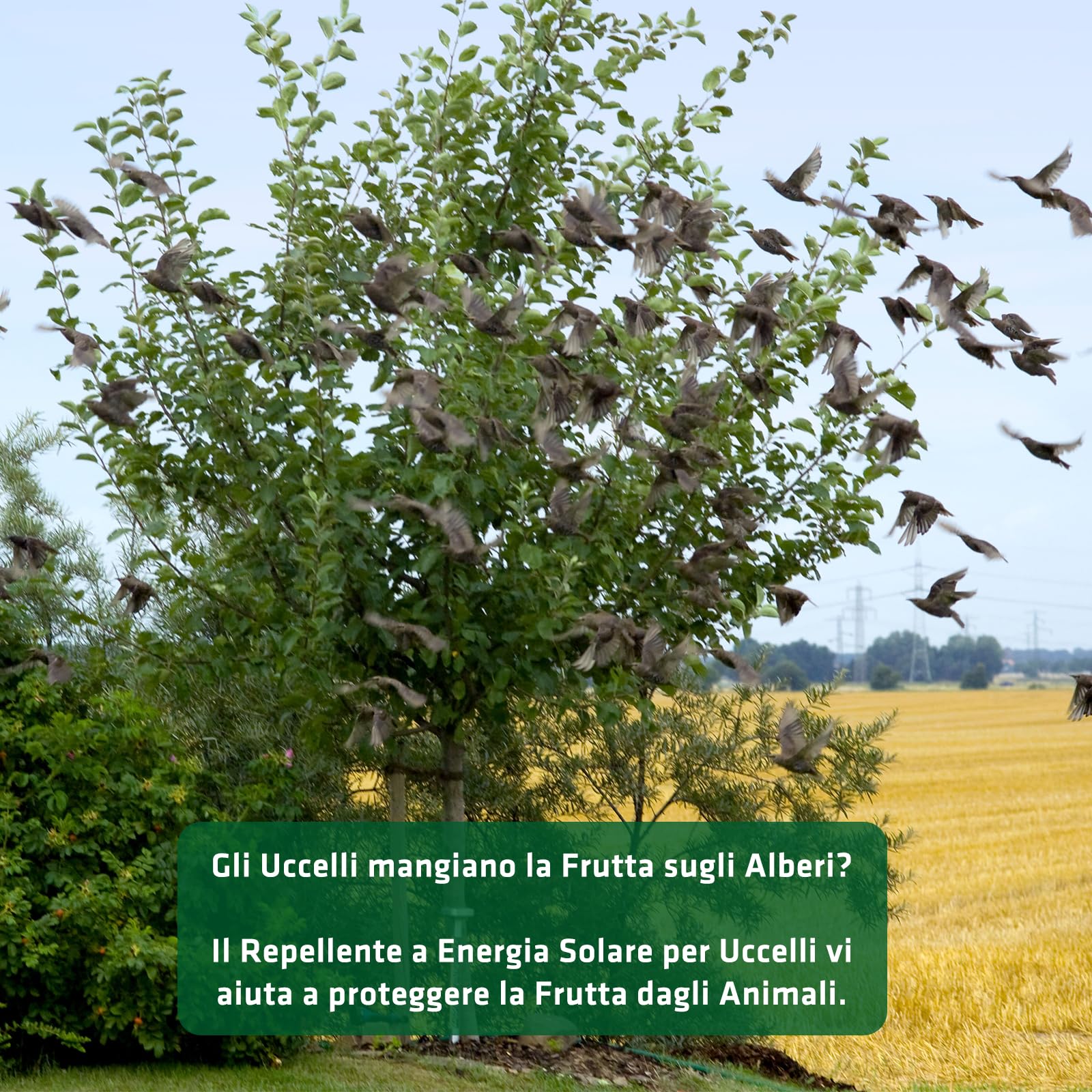 GARDIGO® Dissuasore per Piccioni | Ultrasuoni per Piccioni | Spaventa Uccelli con Pannello Solare | Deterrente Uccelli con Luce Flash a LED | 23-50 kHz | Copertura 110°/7 m | Antipiccioni