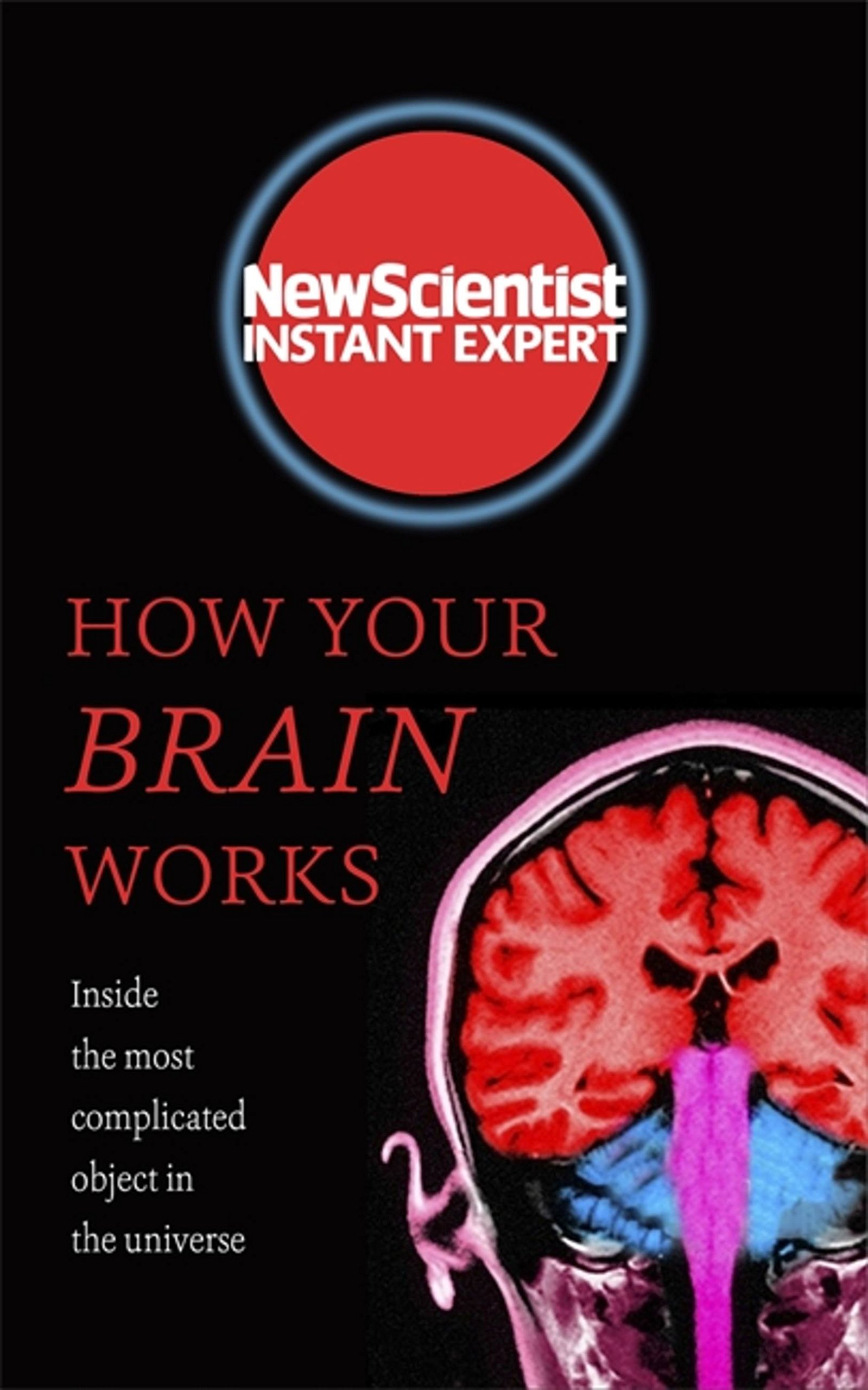 Buy How Your Brain Works: Inside the most complicated object in the known universe — BookShops.in