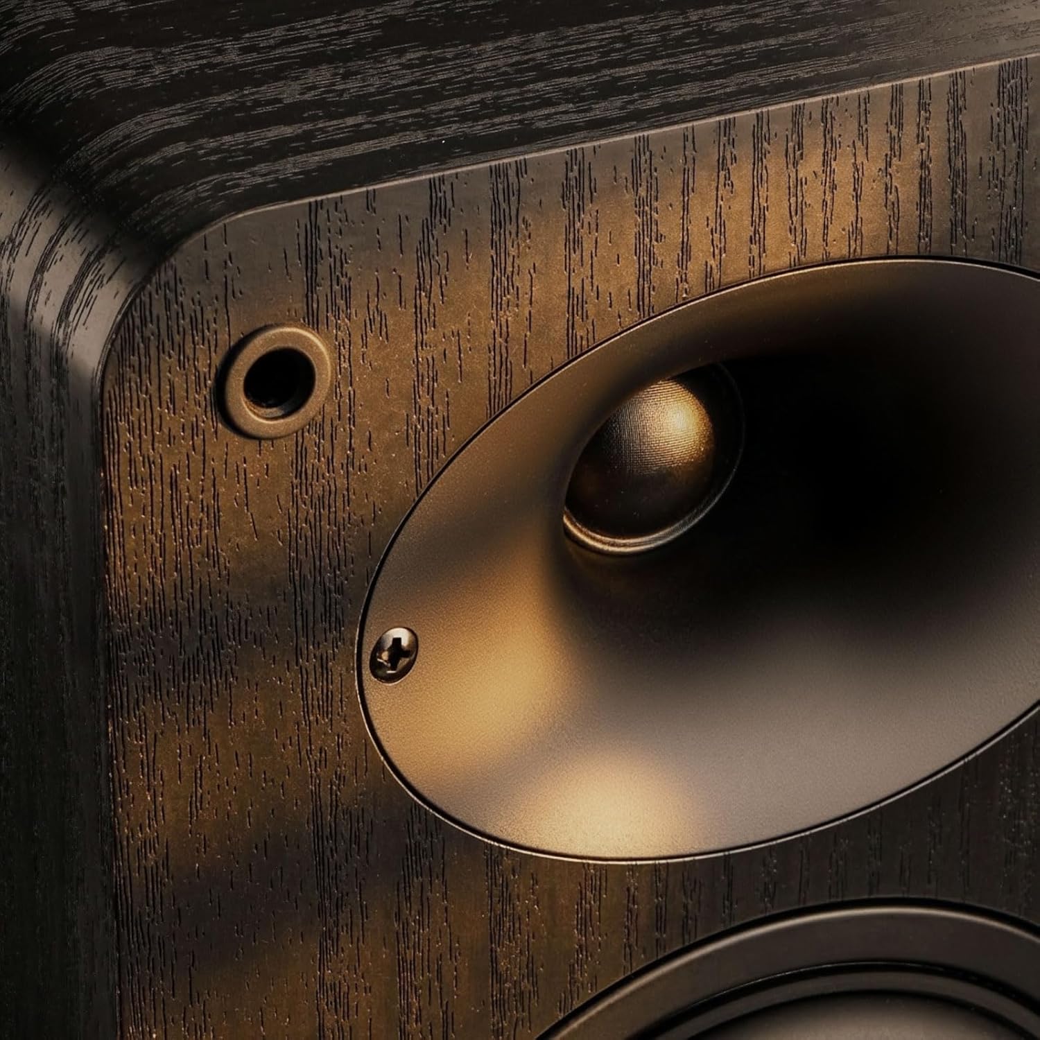 RIOWOIS Passive Bookshelf Speakers for Record Player, 80W Peak Power Stereo Speakers with Silk Dome Horn Tweeter, 4Ω and 4" Woofer for Home Theater Surround Sound, Receiver or Amplifier Required