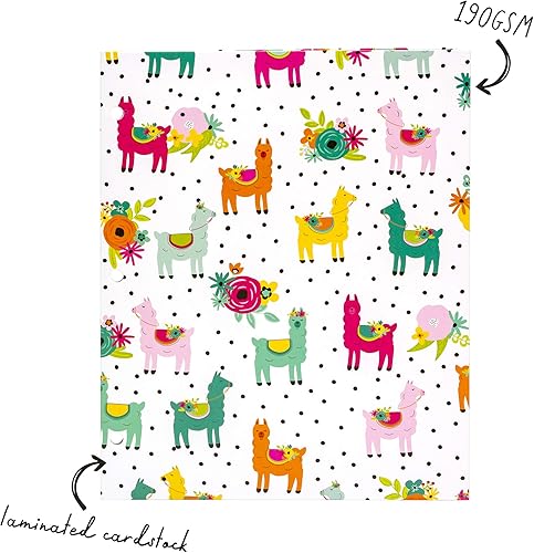 Miniatura 4 de Pukka Pad, Carpe Diem - Carpetas de lavado de color Paquete de 6 carteras de bolsillo con 3 perforadores para contenedores de anillo estándar