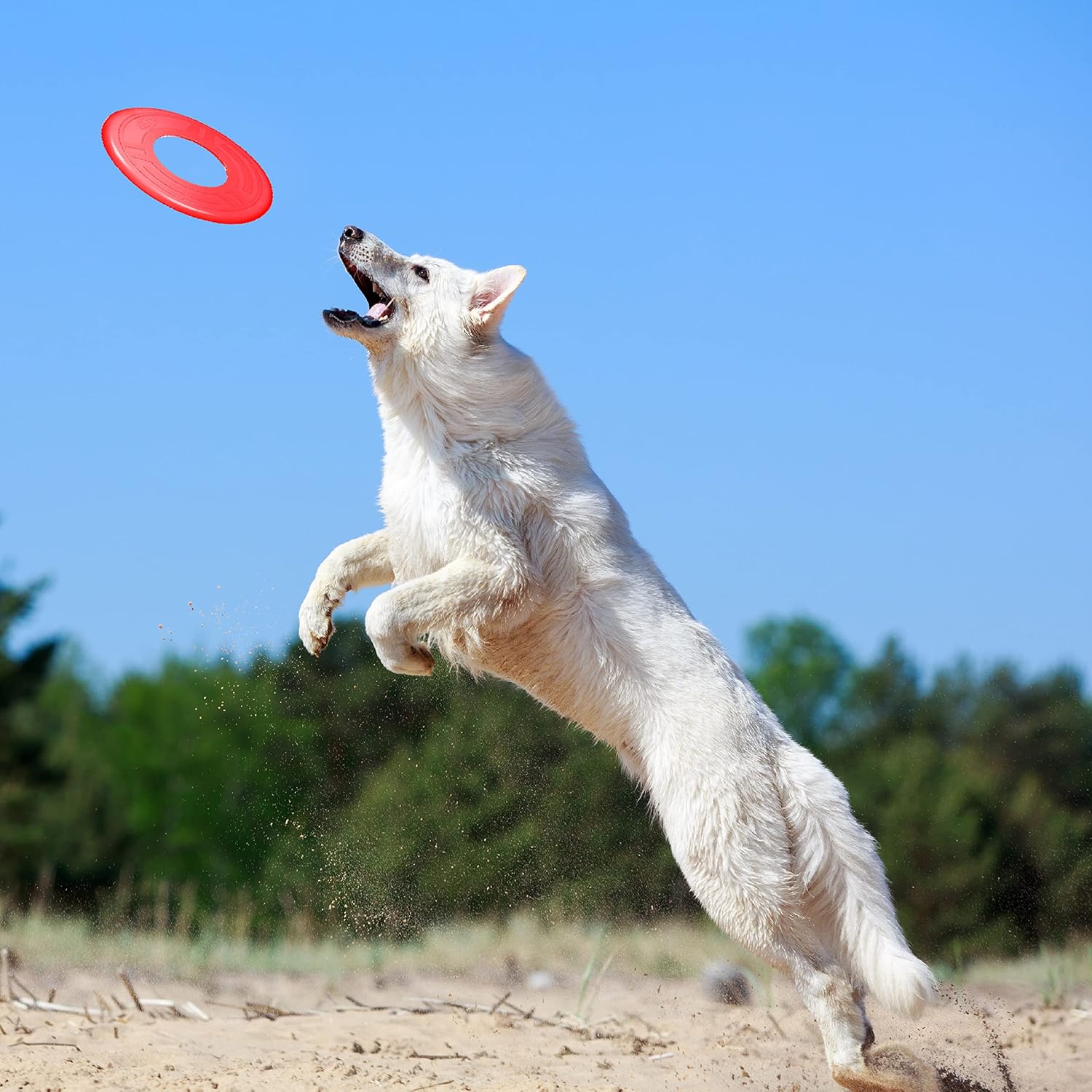 Pet Supplies : Nerf Dog Atomic Flyer Dog Toy, Flying Disc, Lightweight, Durable and Water Resistant, Great for Beach and Pool, 10 inch Diameter, for Medium/Large Breeds, Single Unit, Red, one-Size-for-Most : 