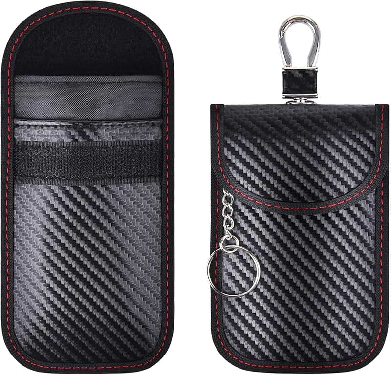 Amazon.ca faraday bags