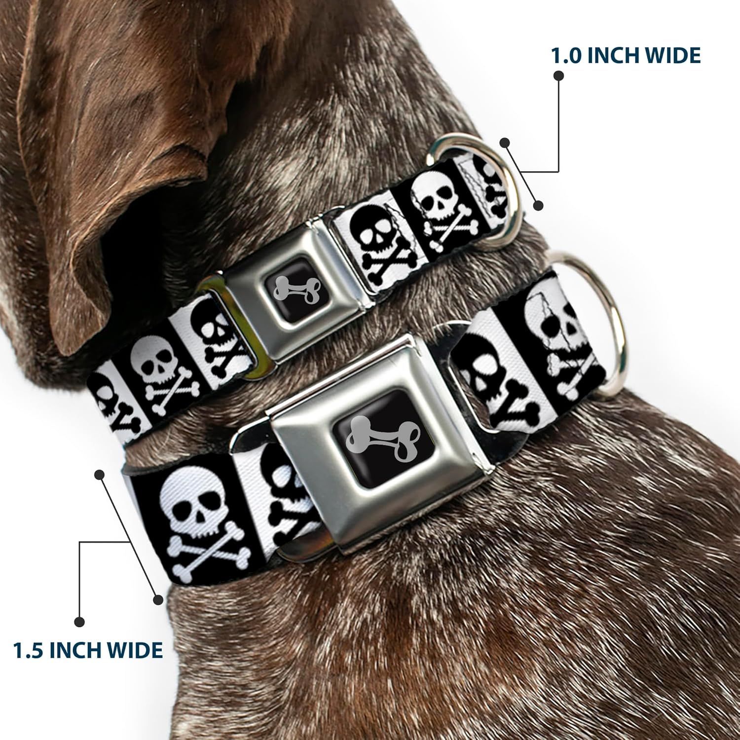 Buckle-Down Dog Collar Seatbelt Buckle Skull Cross Bones Blocks Black White White Black, Multicolor, 1" Wide - Fits 15-26" Neck - Large (DC-W37126-L)