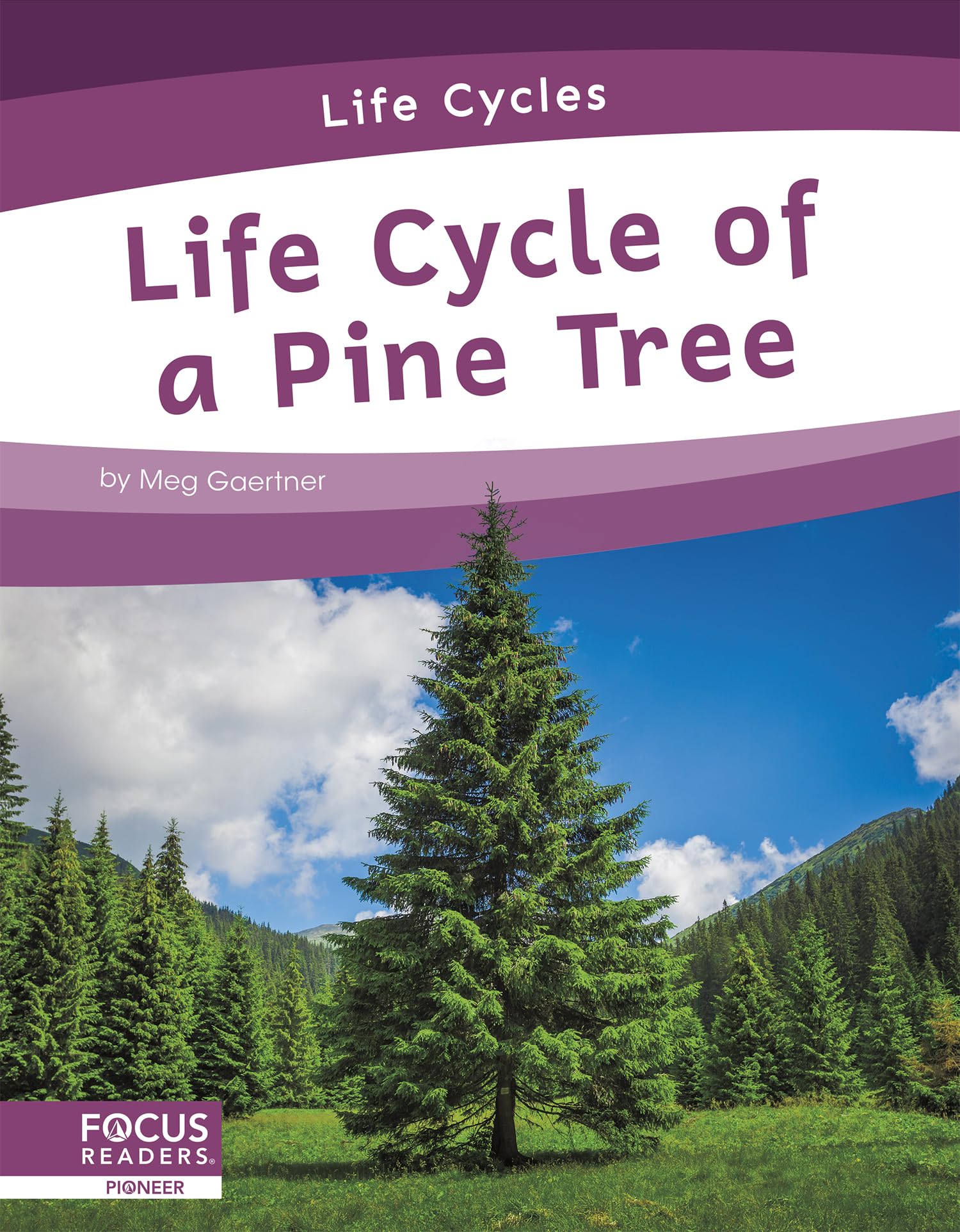 Life Cycle of a Pine Tree (Life Cycles)