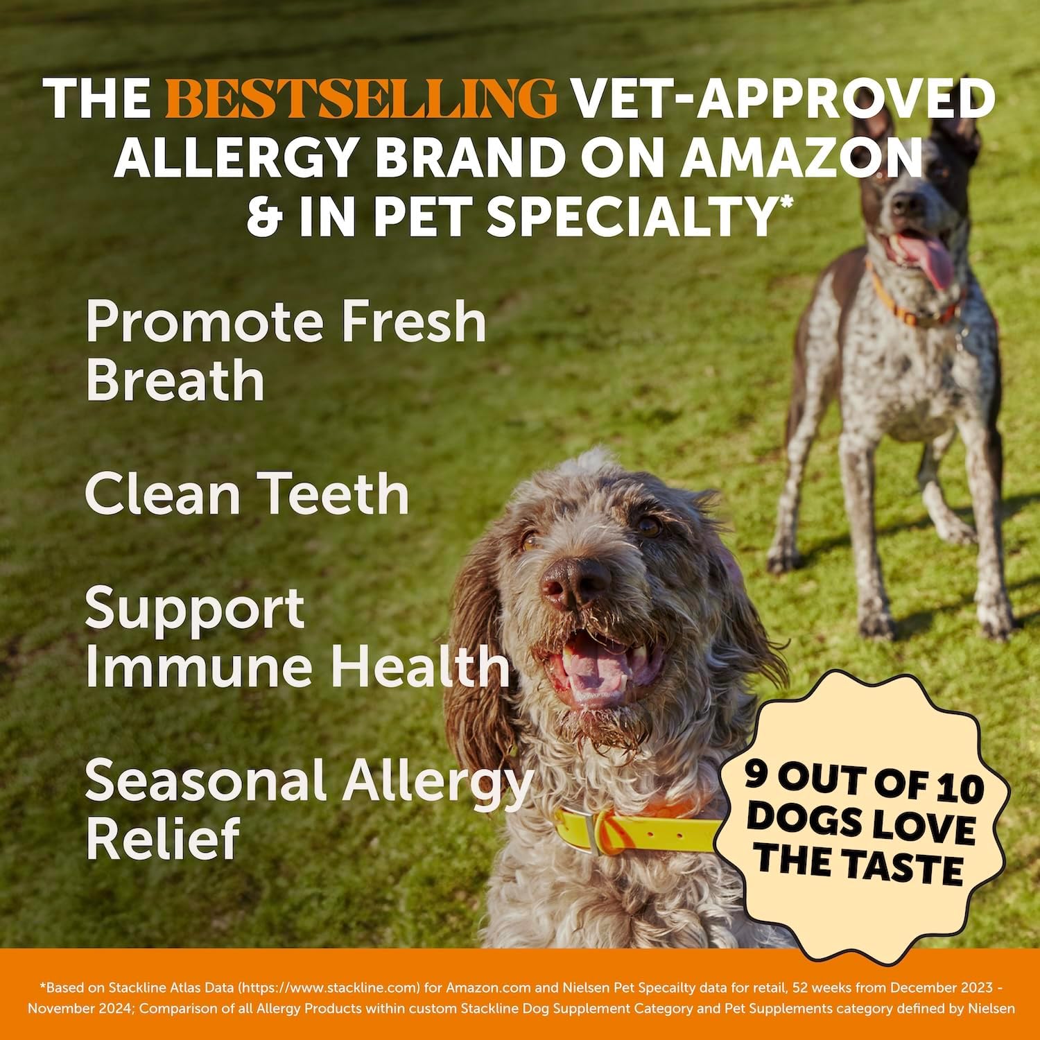 Allergy Support Fresh and Dental Health Fresh Sticks - Oral Hygiene Dental Stick for Dogs Bundle - 30 ct